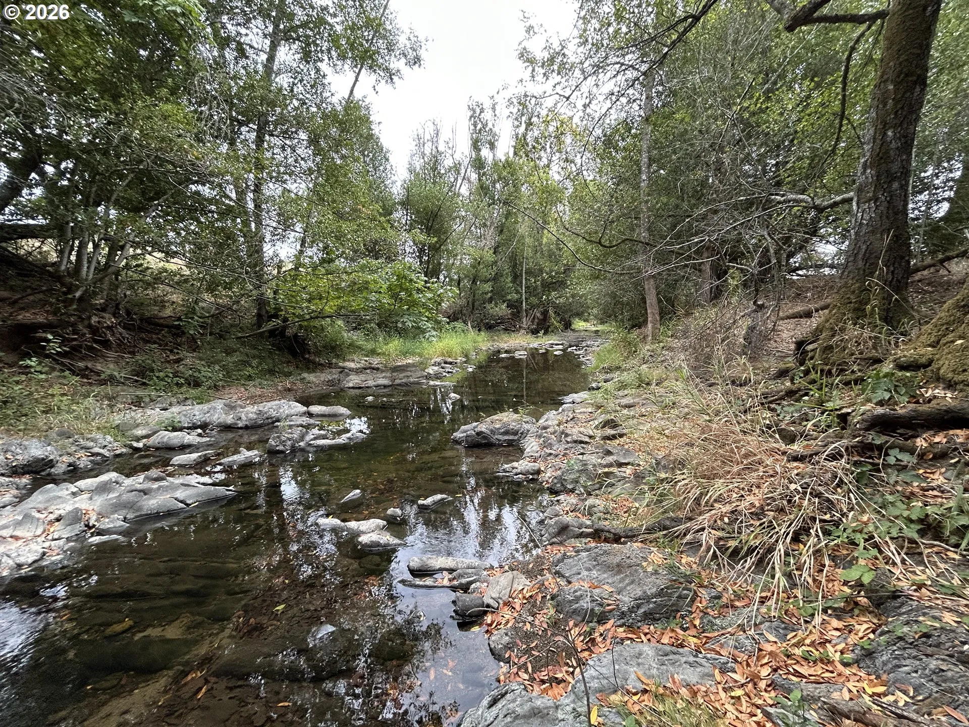 Creek-Year Round