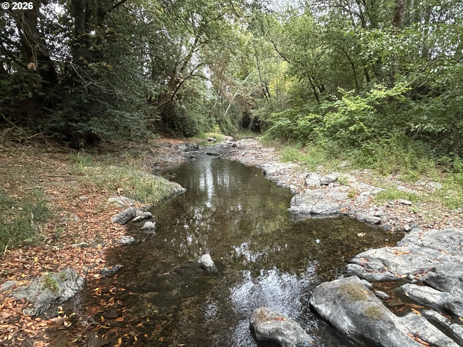 Creek-Year Round