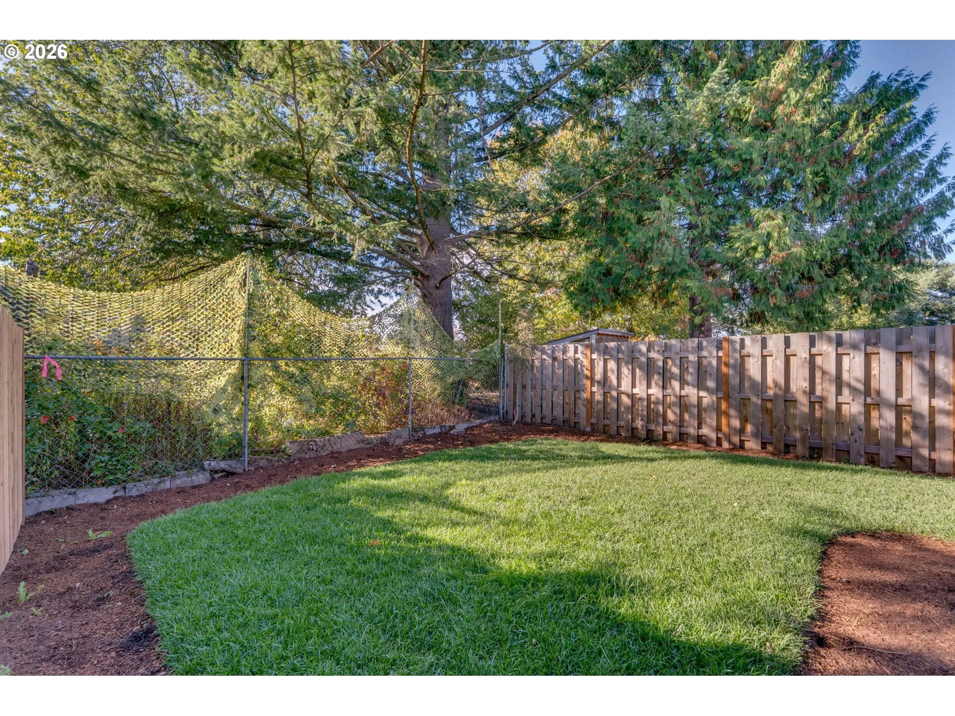 Backyard-Fenced