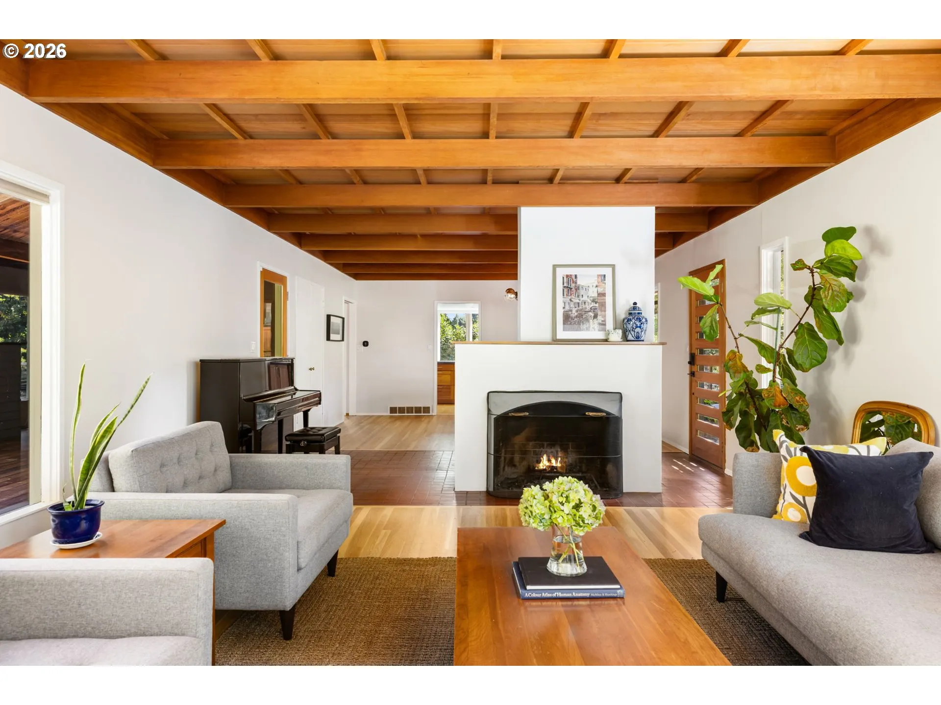 Living Room-Fireplace