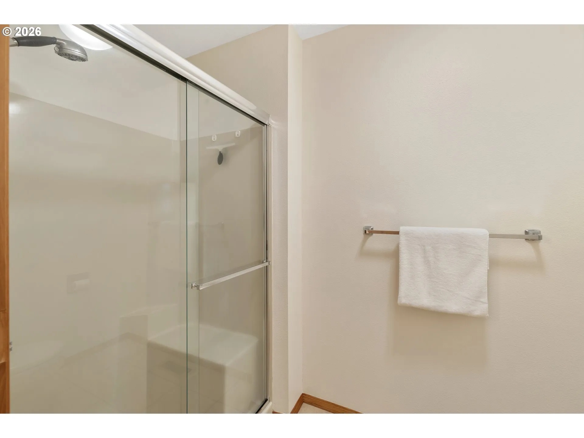 Owner's Suite Bathroom-Walk in Shower