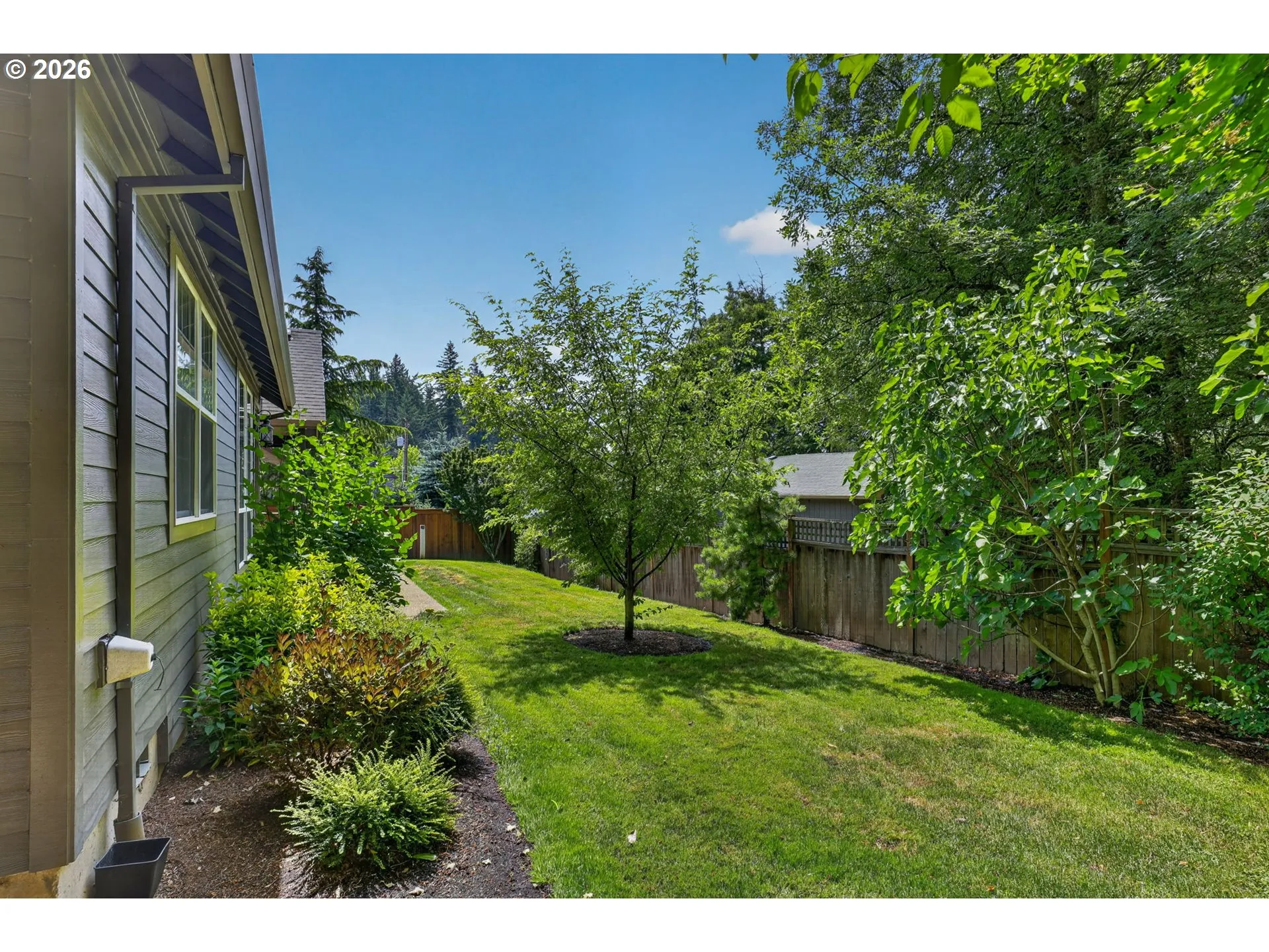 Backyard-Fenced