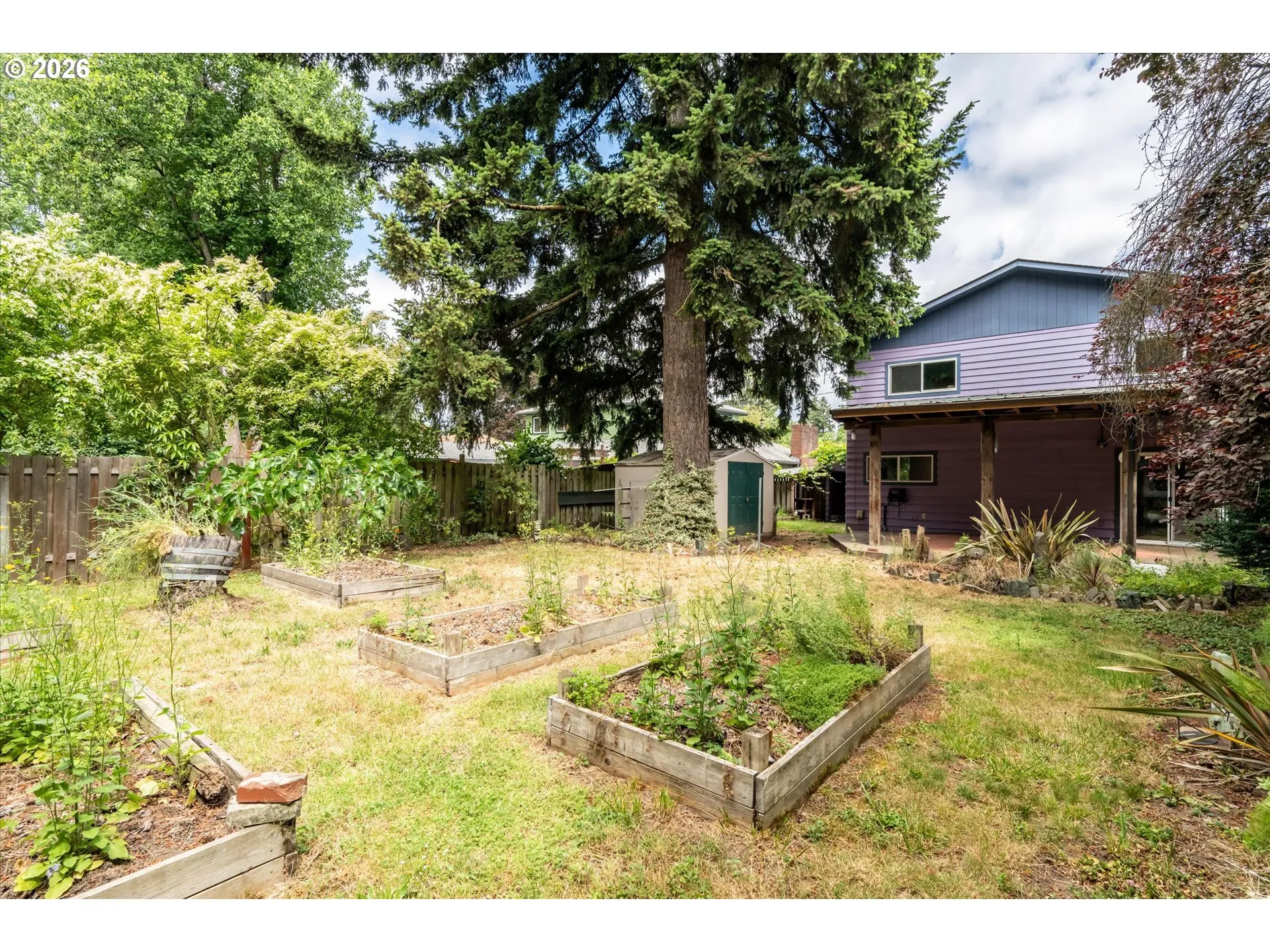 Garden