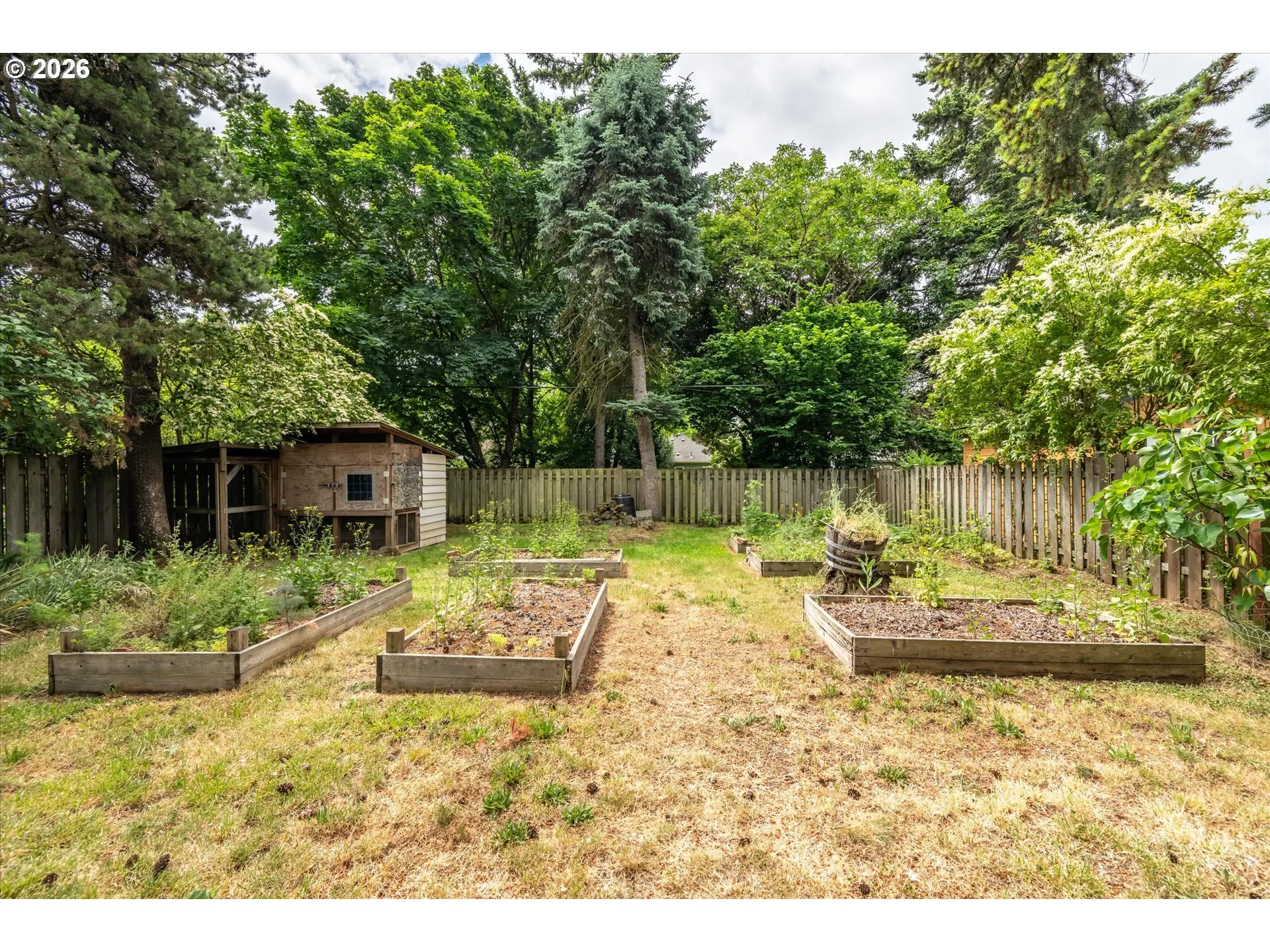 Garden