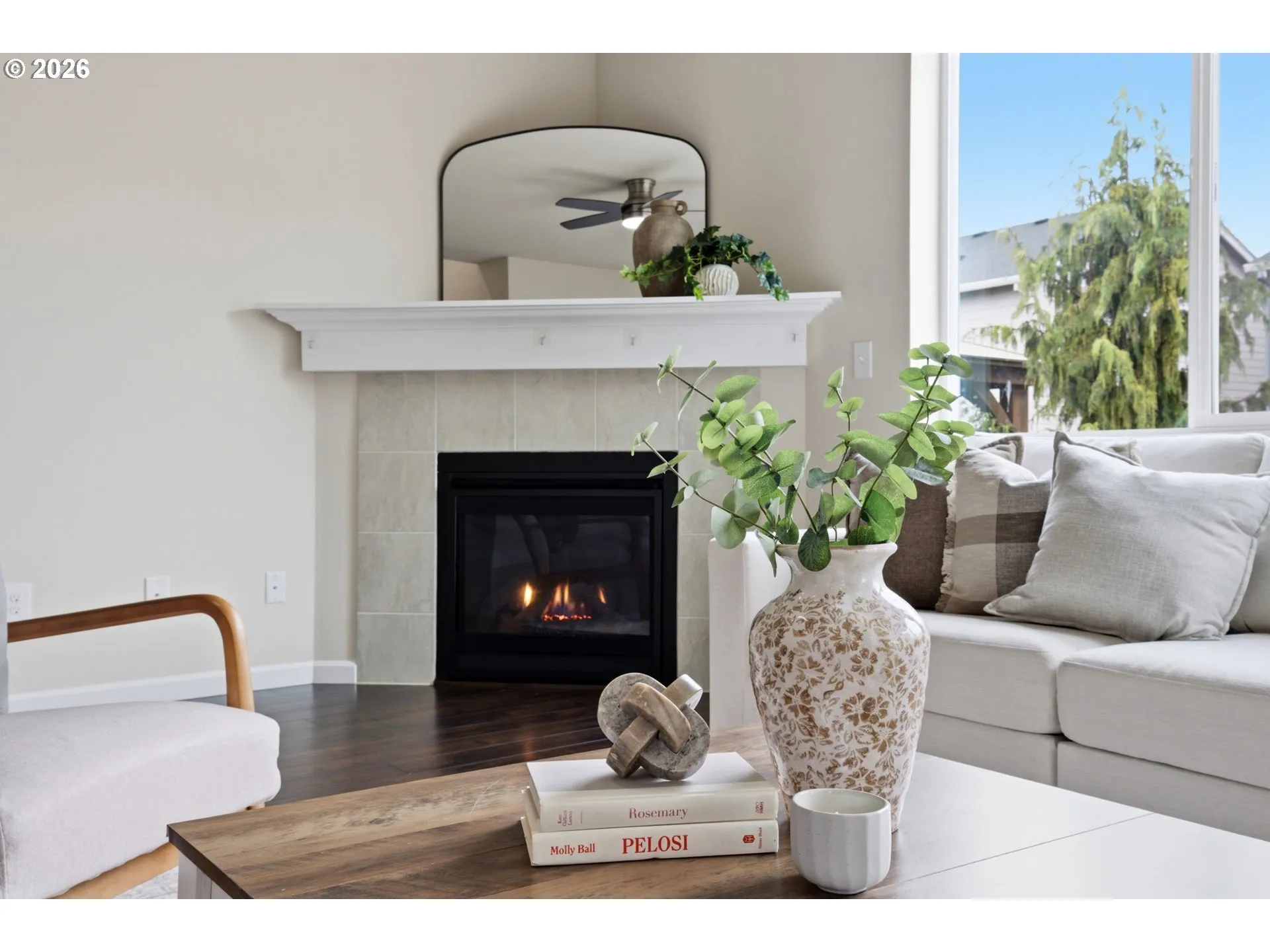 Fireplace Gas