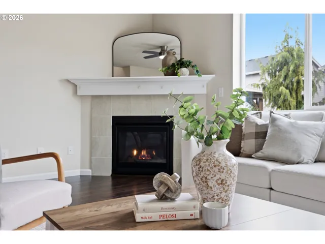 Fireplace Gas