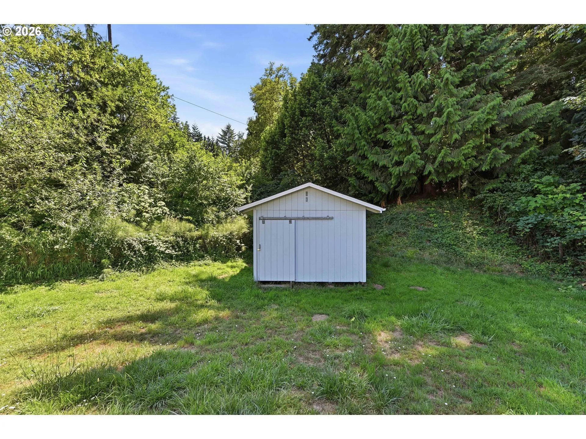 Shed