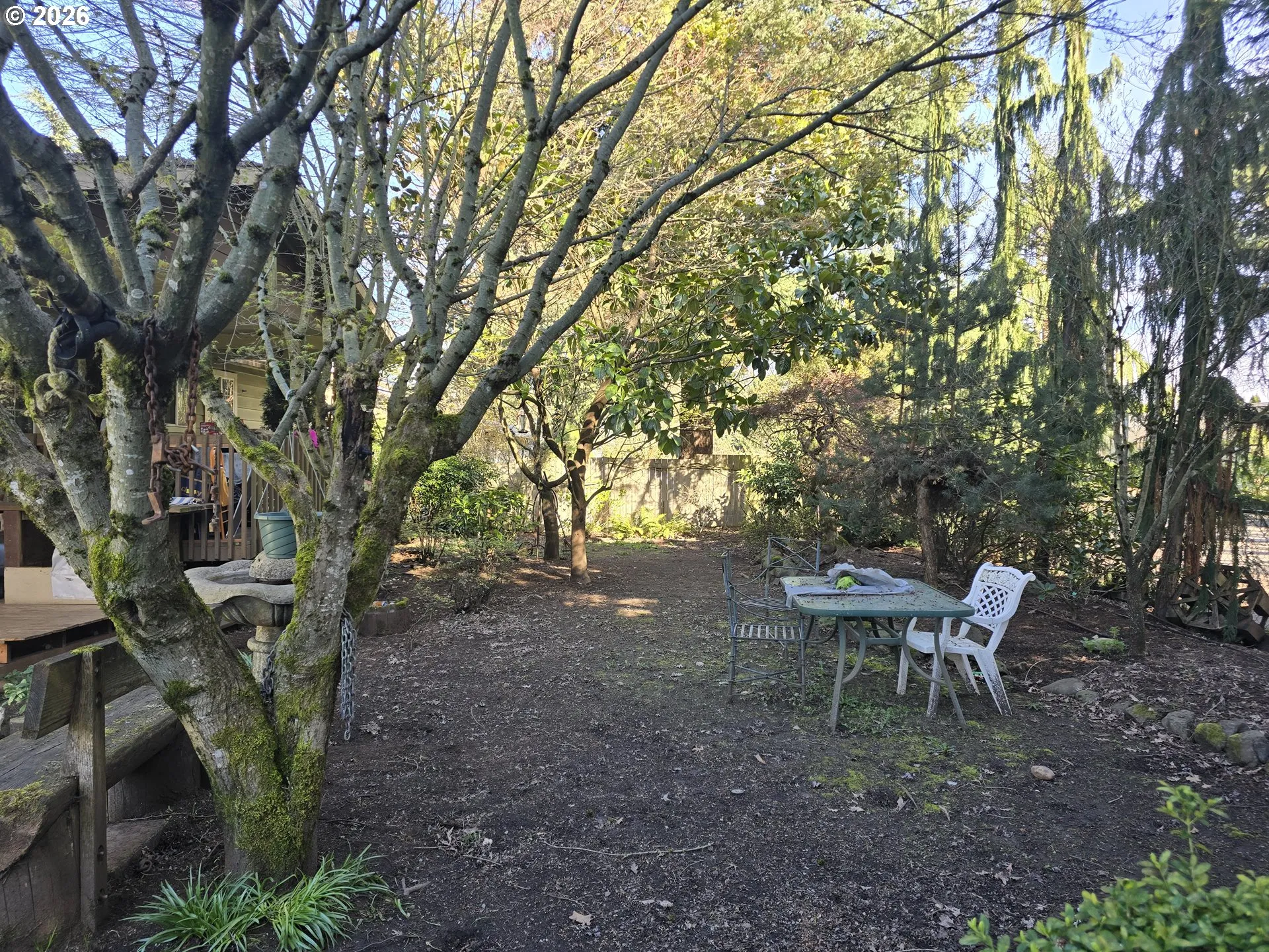 Front Yard