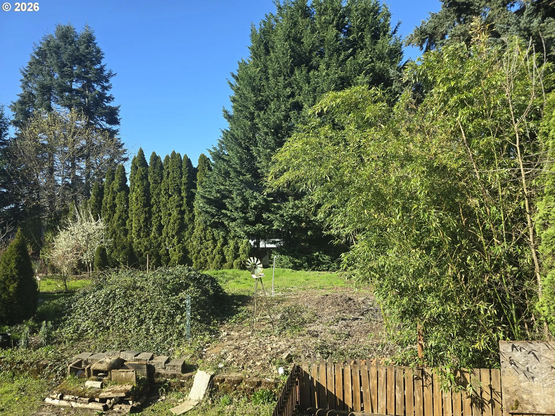 Backyard-View From