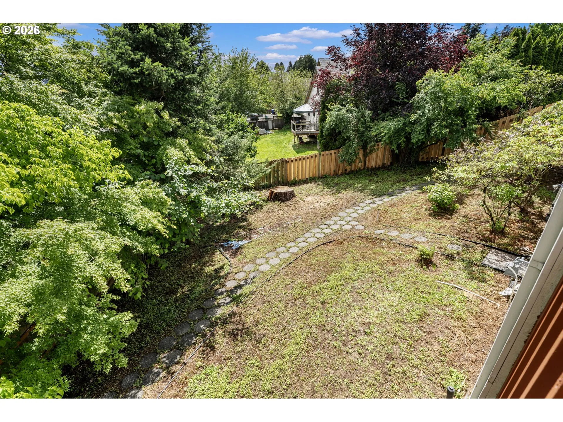 Backyard-# 2