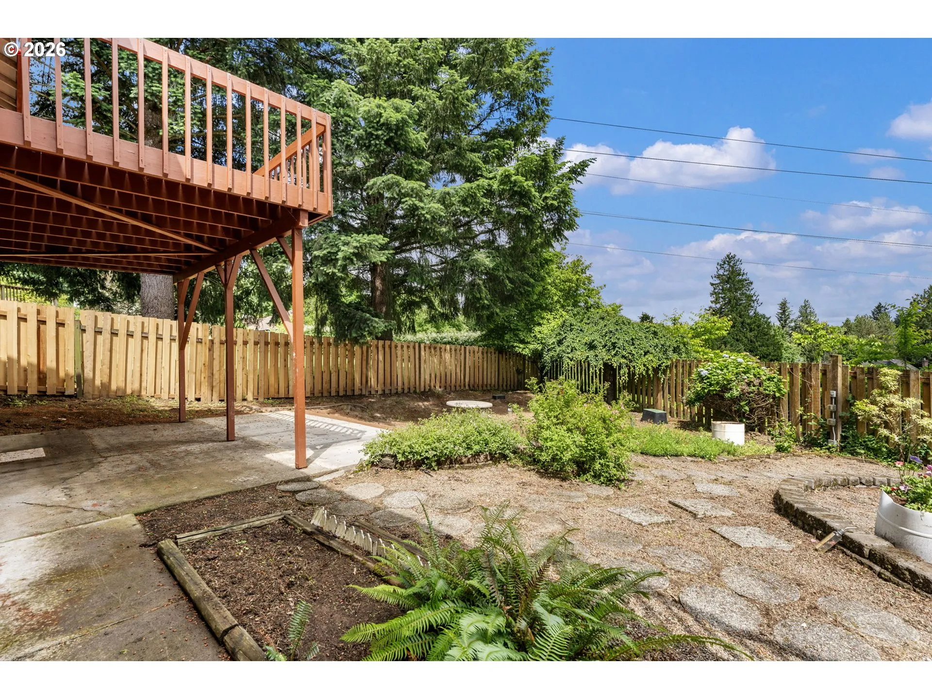 Backyard-# 1