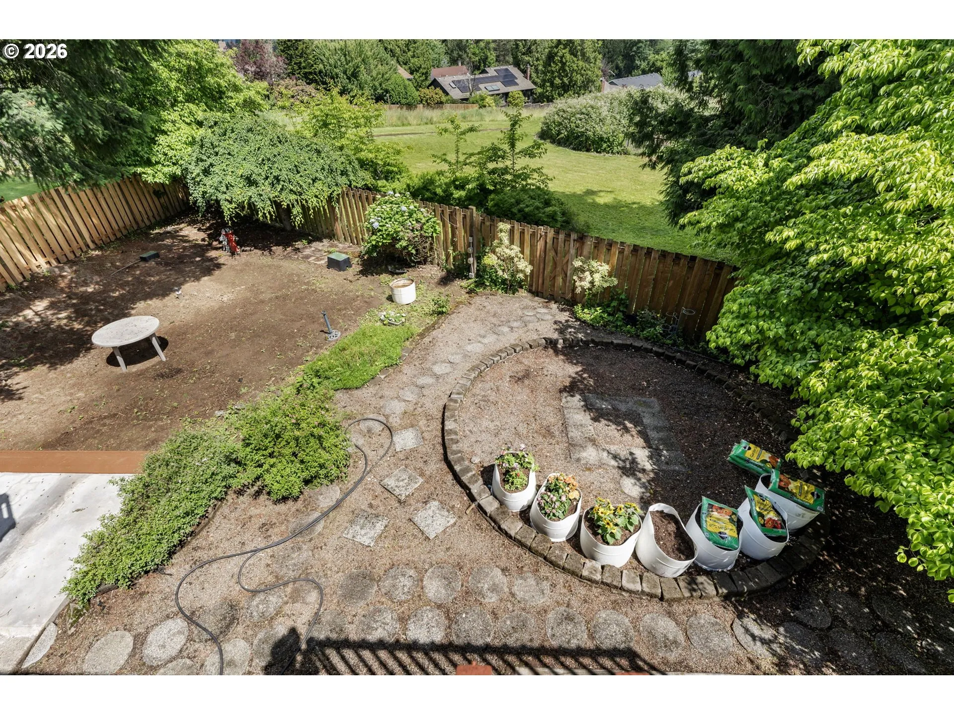 Backyard-# 1