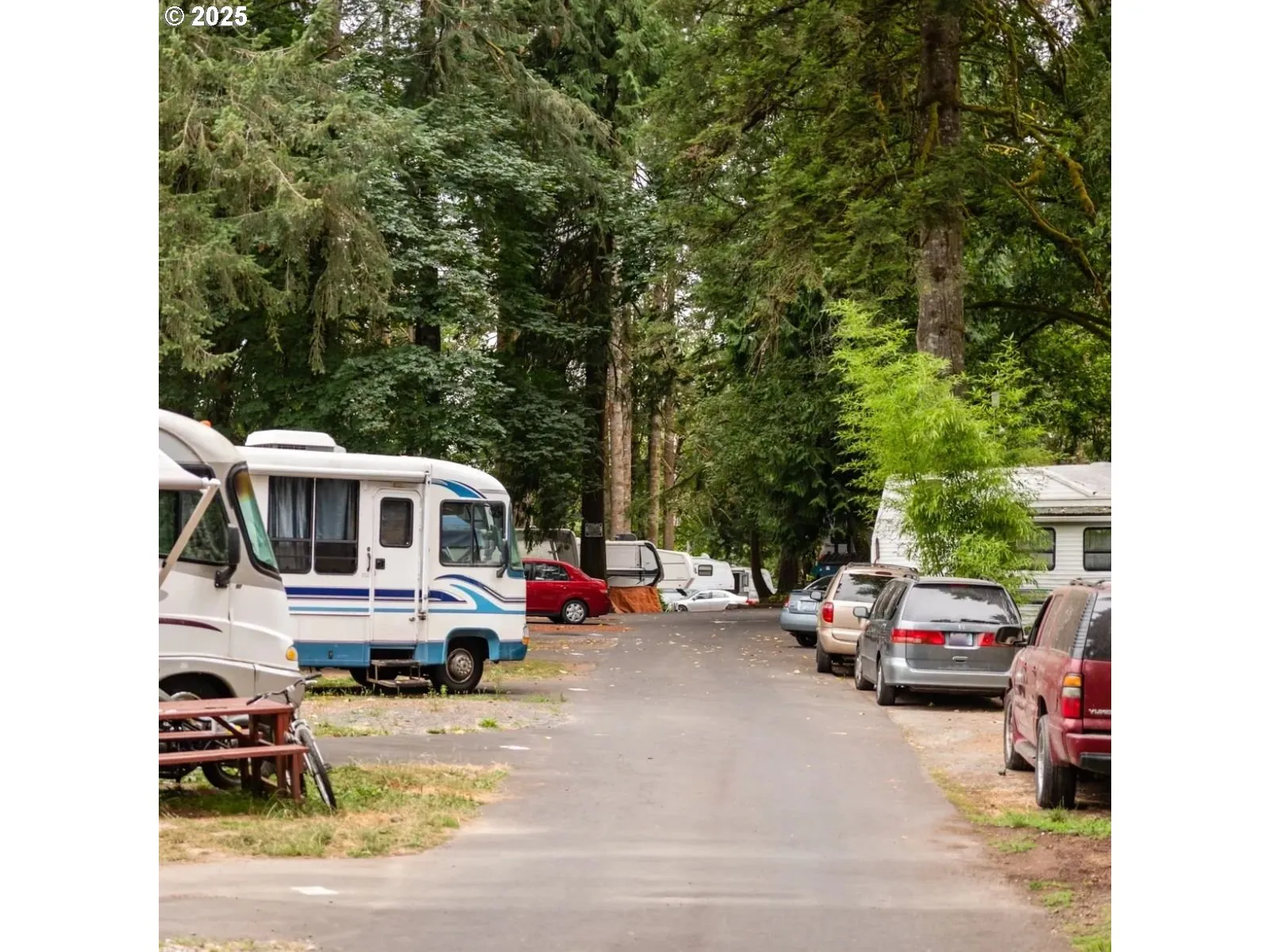 Driveway