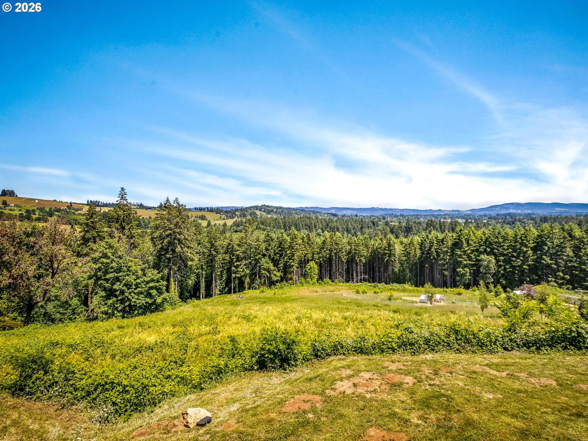 Backyard-View From
