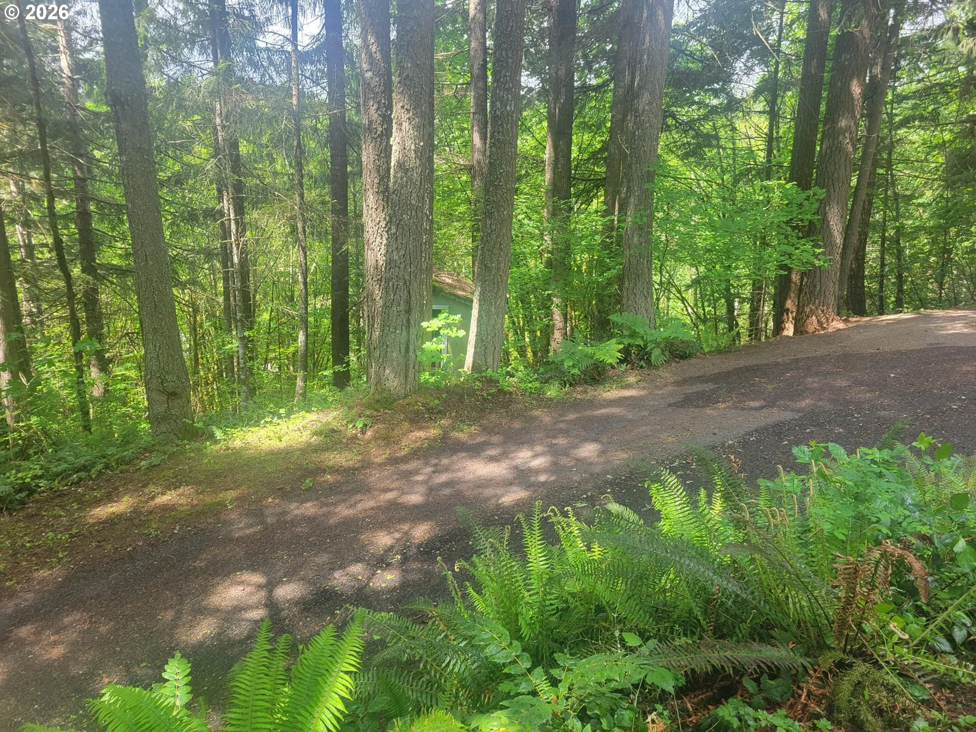 Driveway-Private