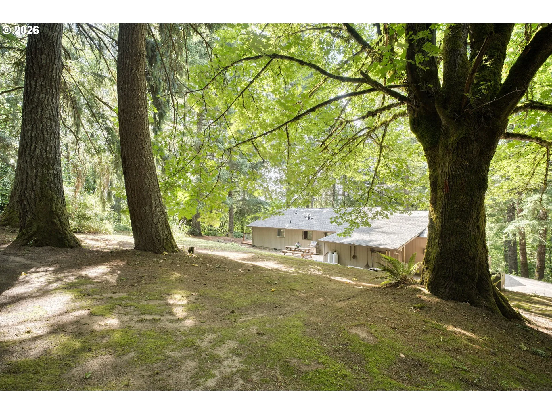 Backyard-View From