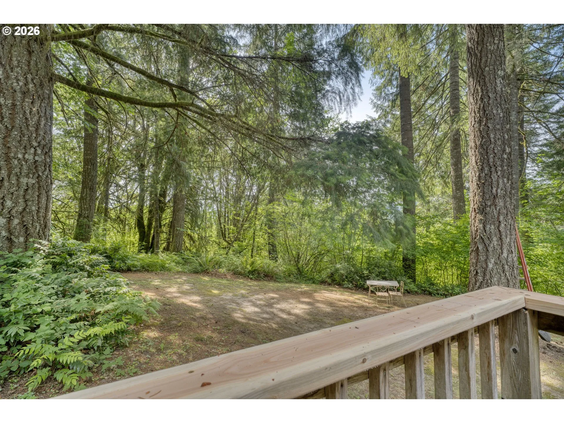Backyard-View From