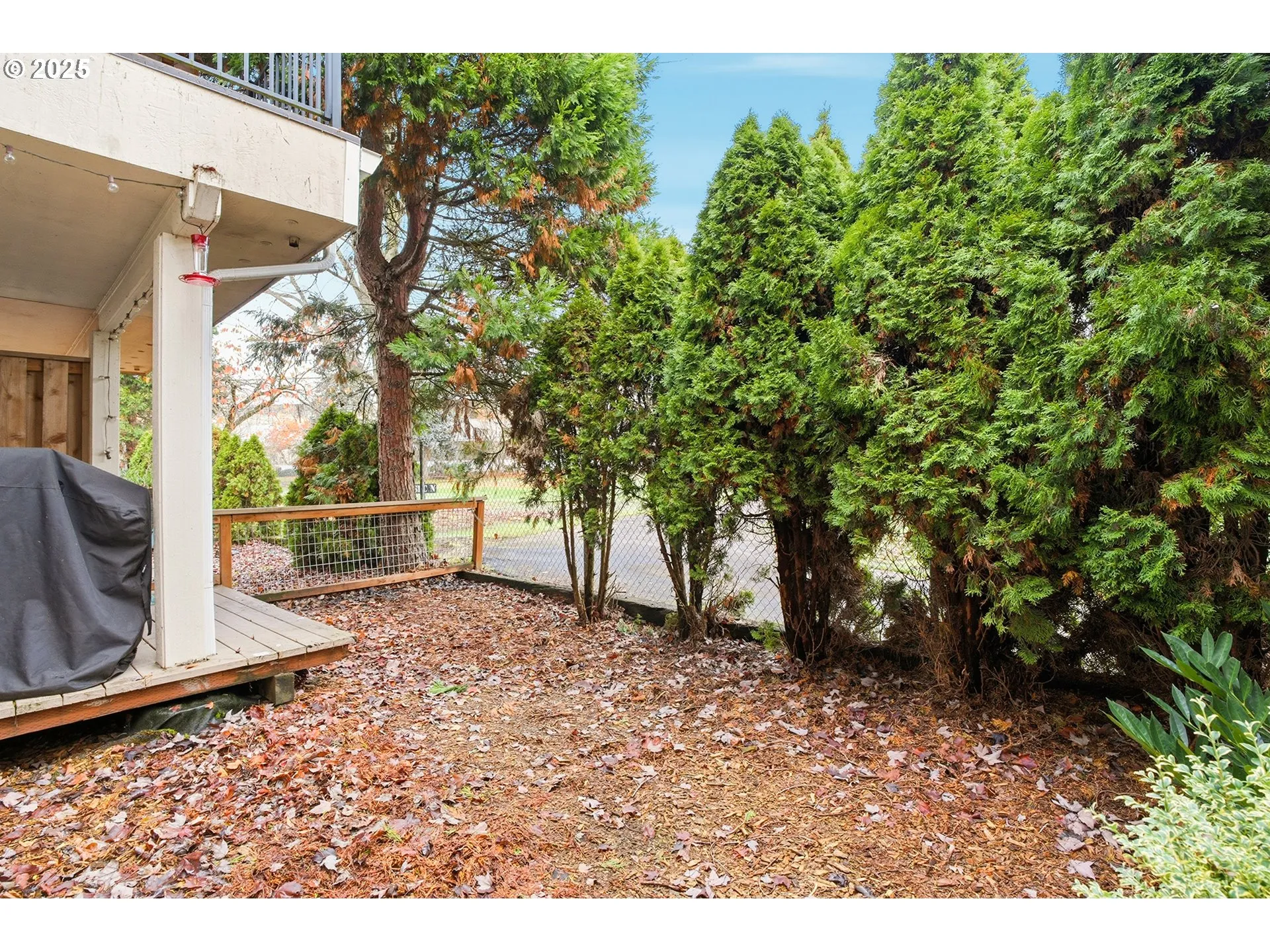 Backyard-Fenced