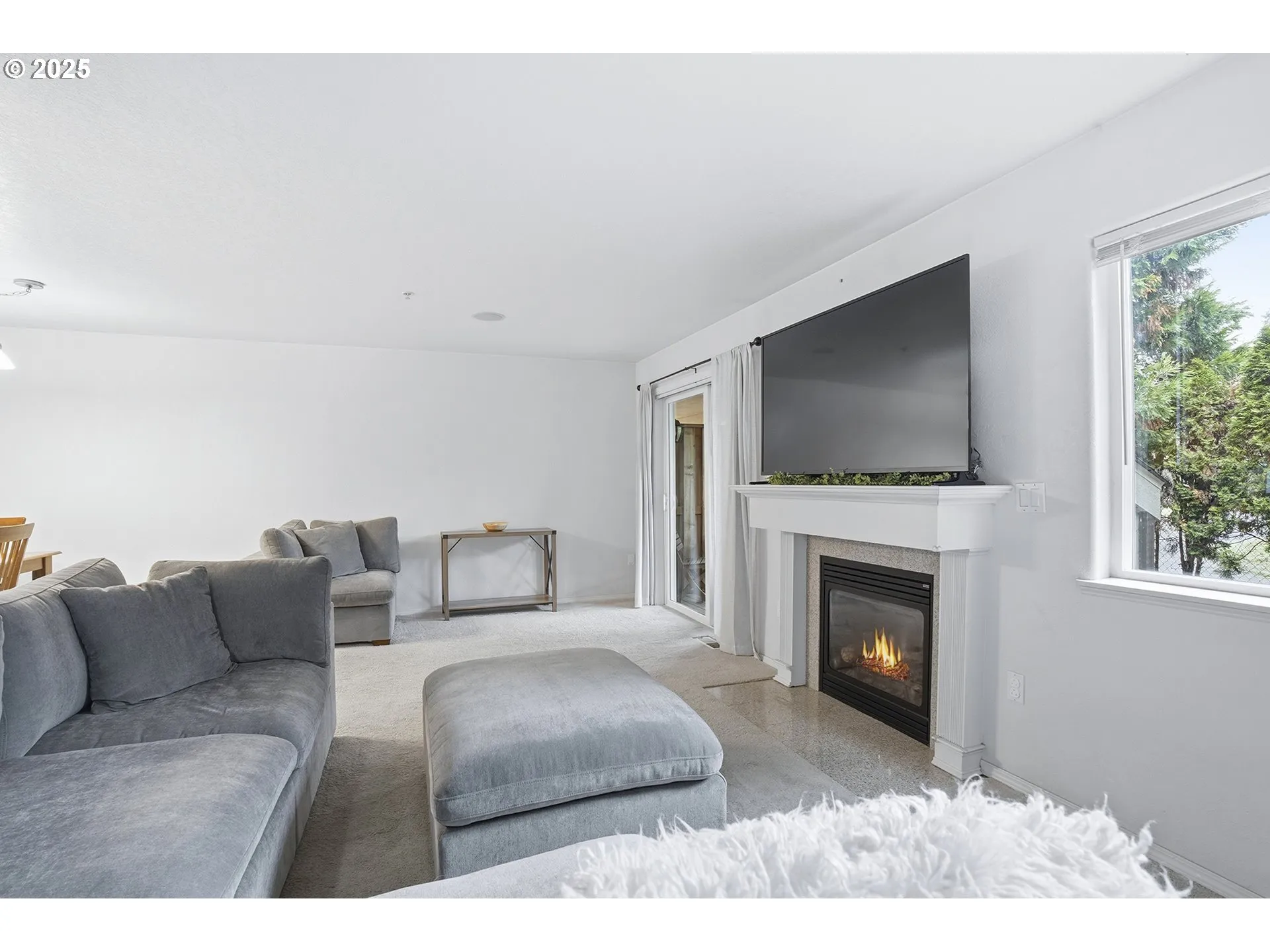 Living Room-Fireplace