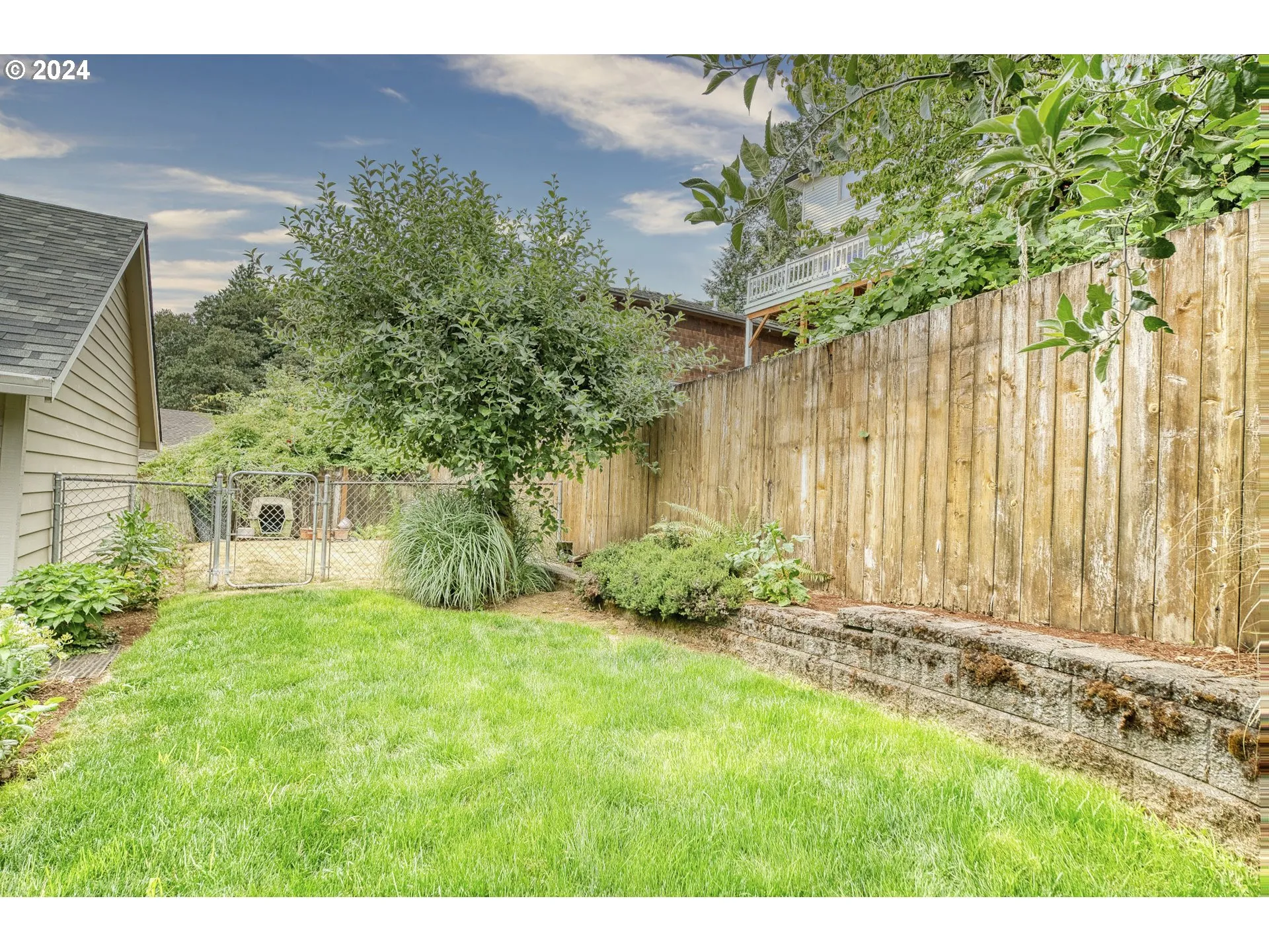Dog Run