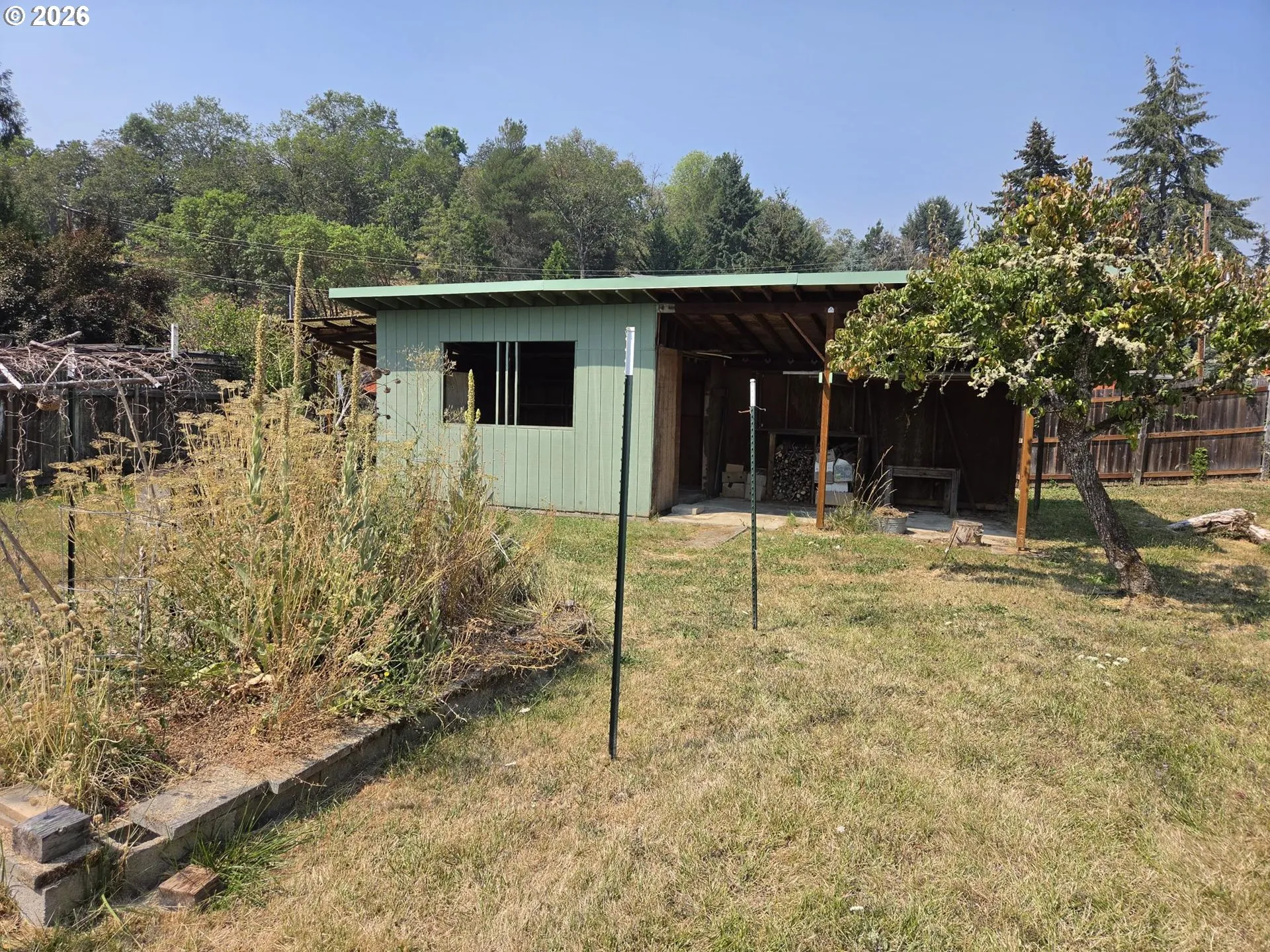 Shed