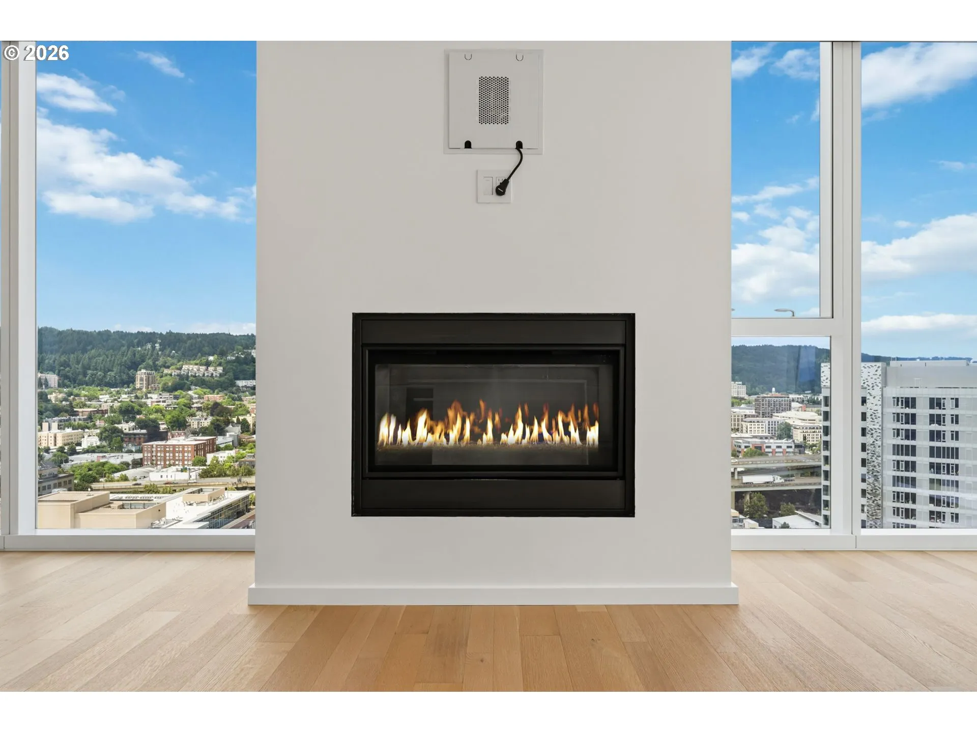 Fireplace Gas