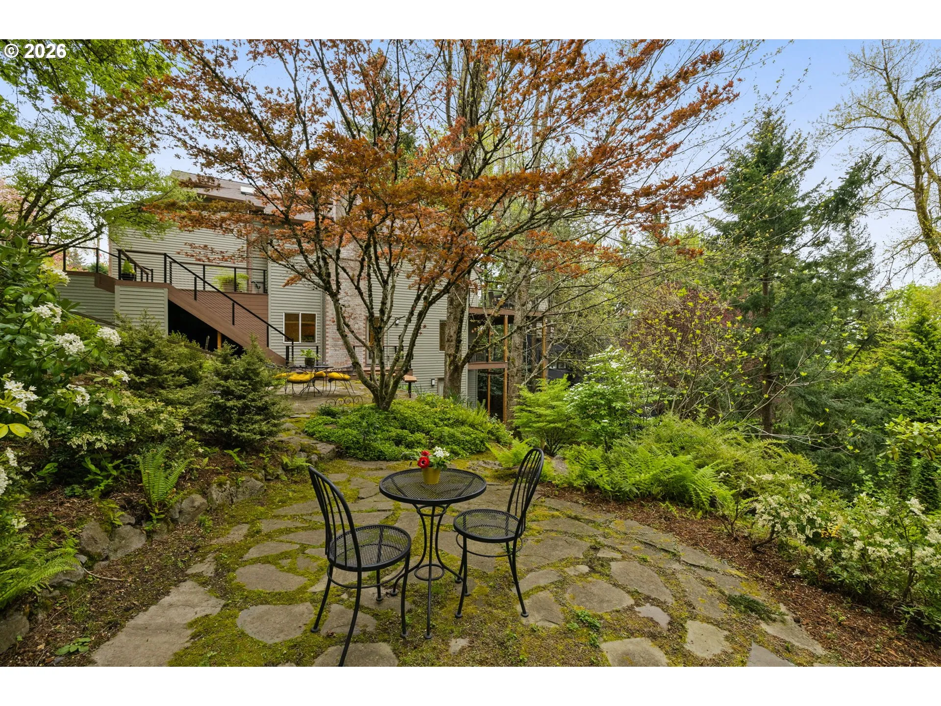 Backyard-View From