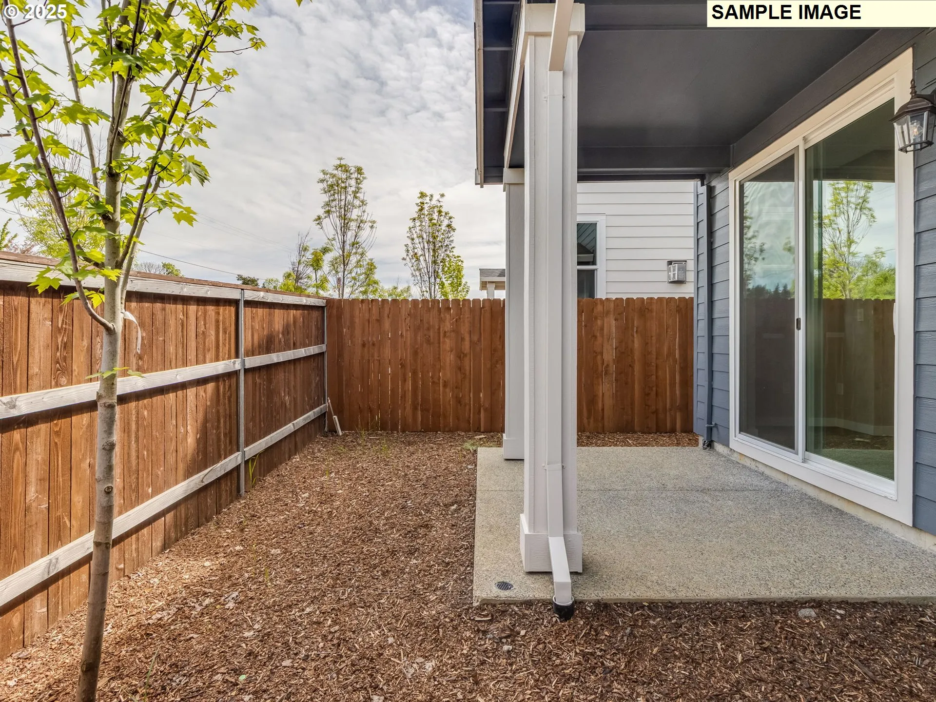 Patio-Backyard