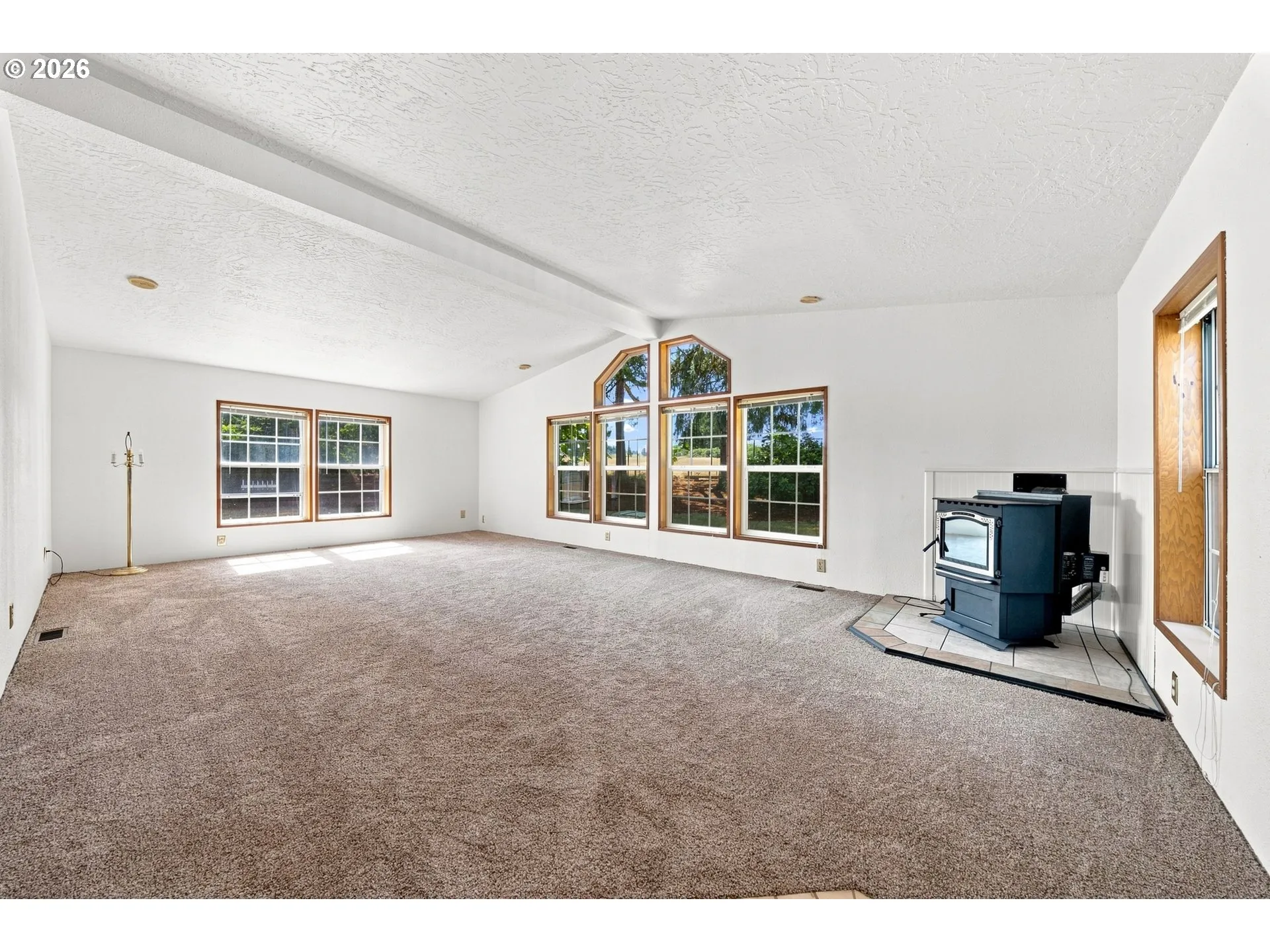 Living Room-Vaulted Ceilings