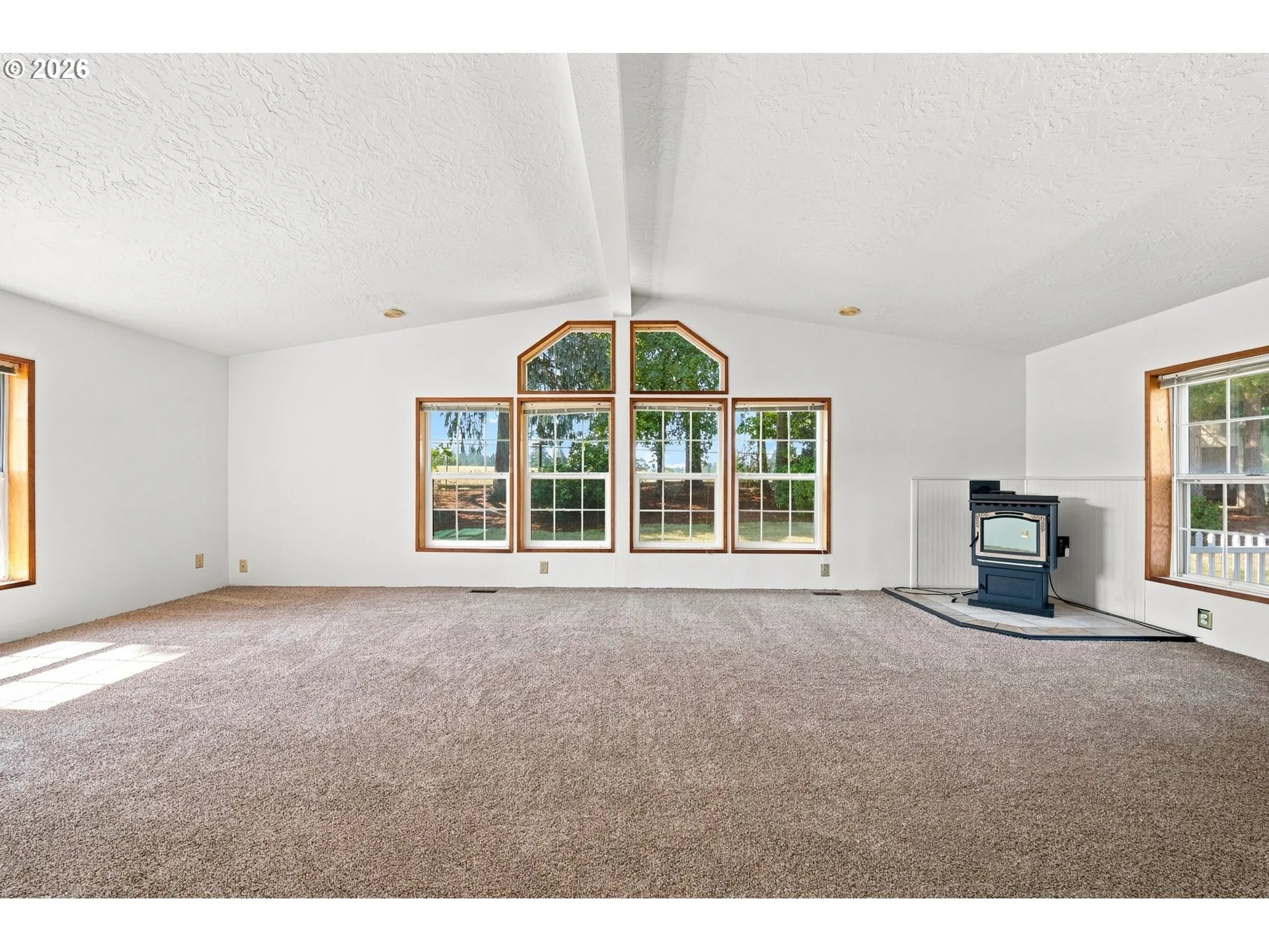 Living Room-Fireplace