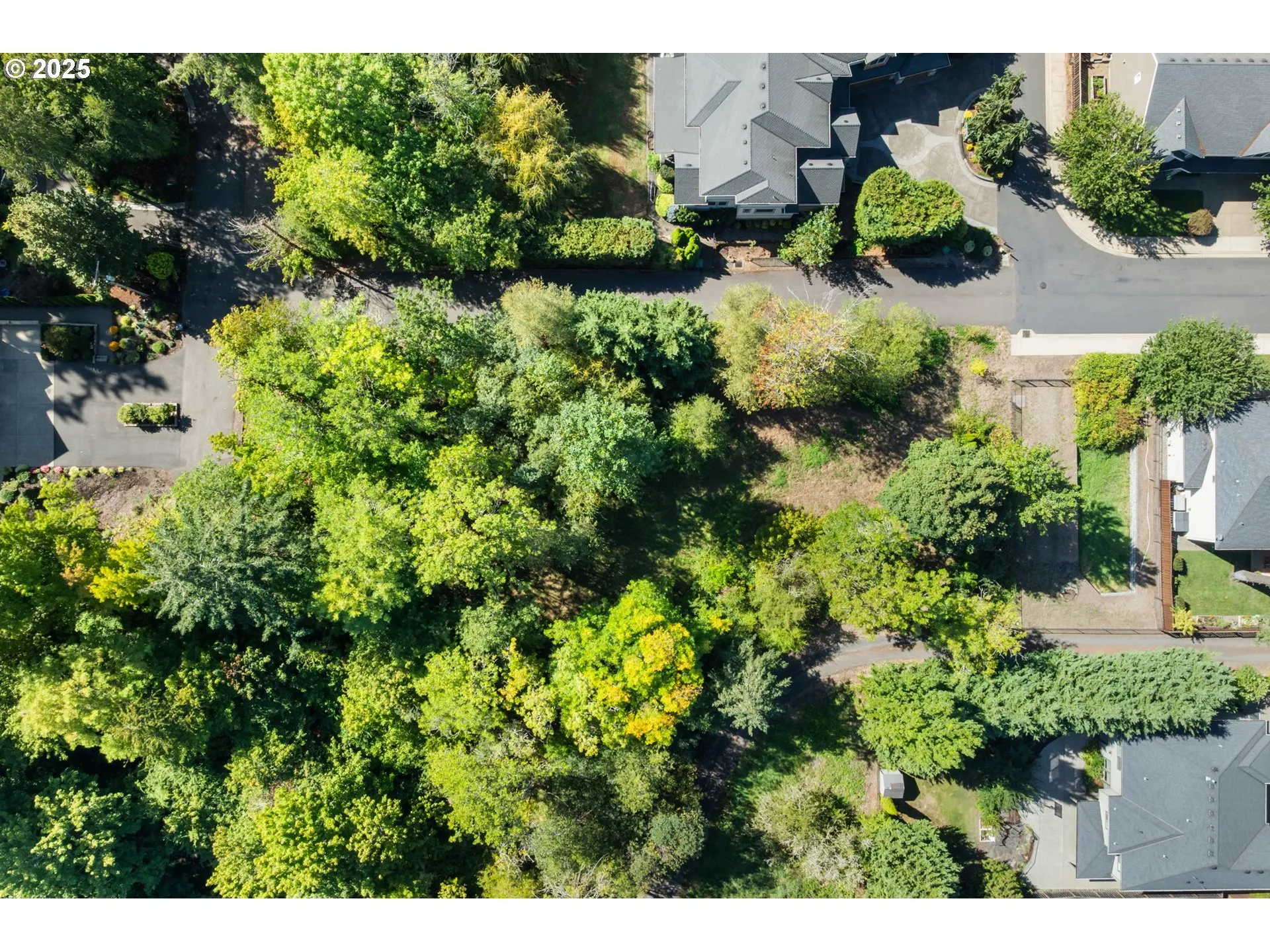 View-Aerial