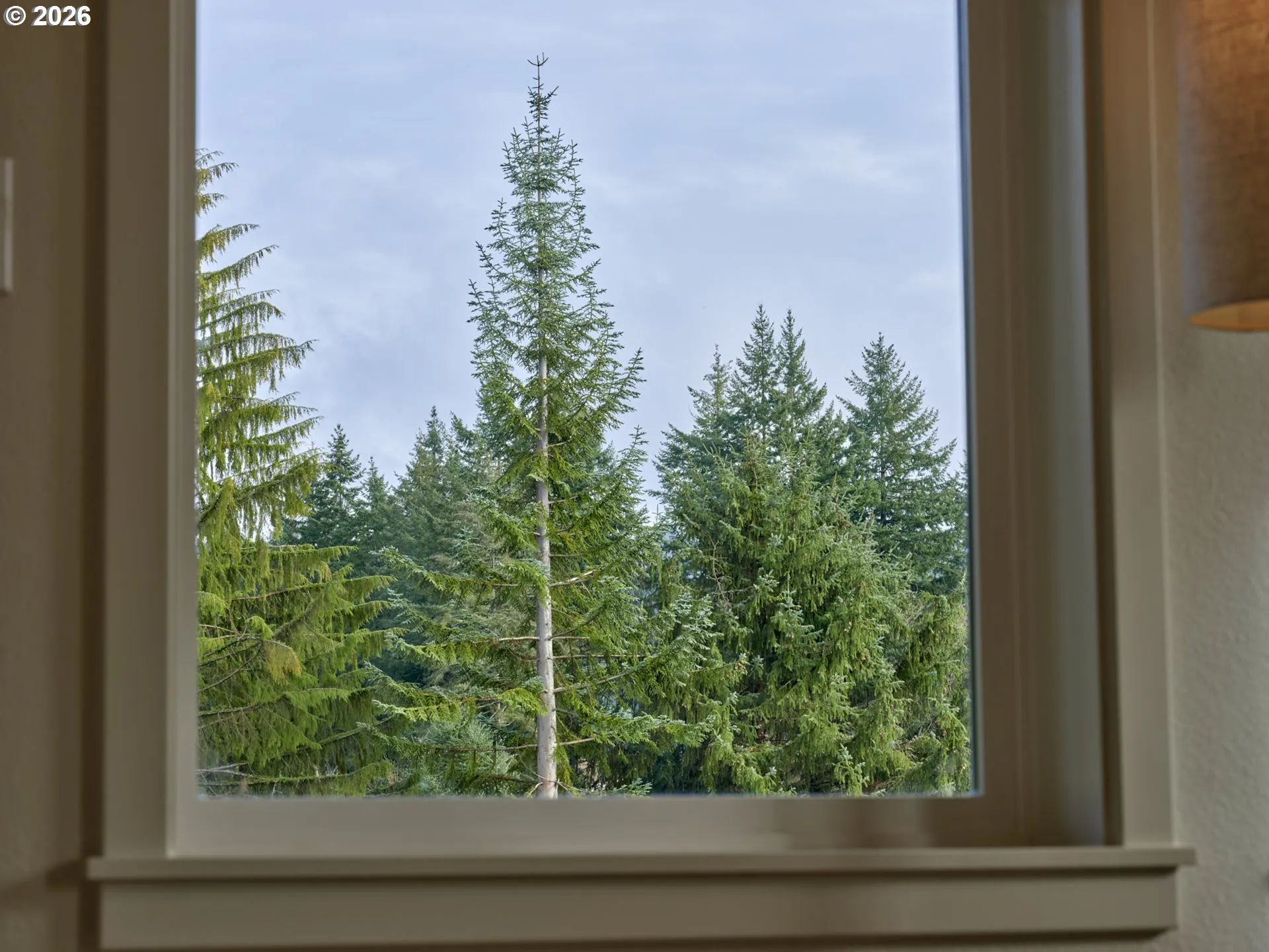 Living Room-View From