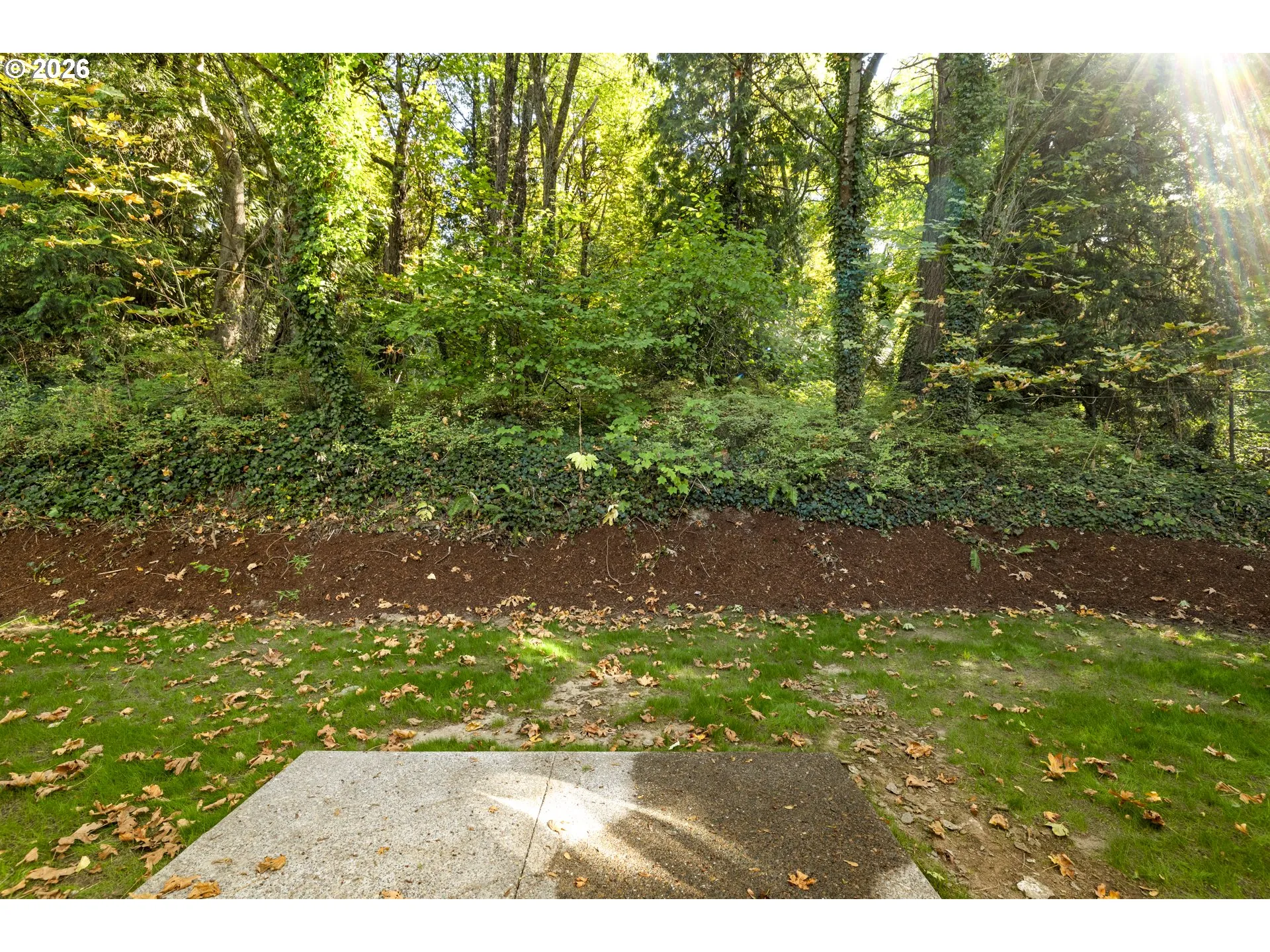 Patio-Backyard