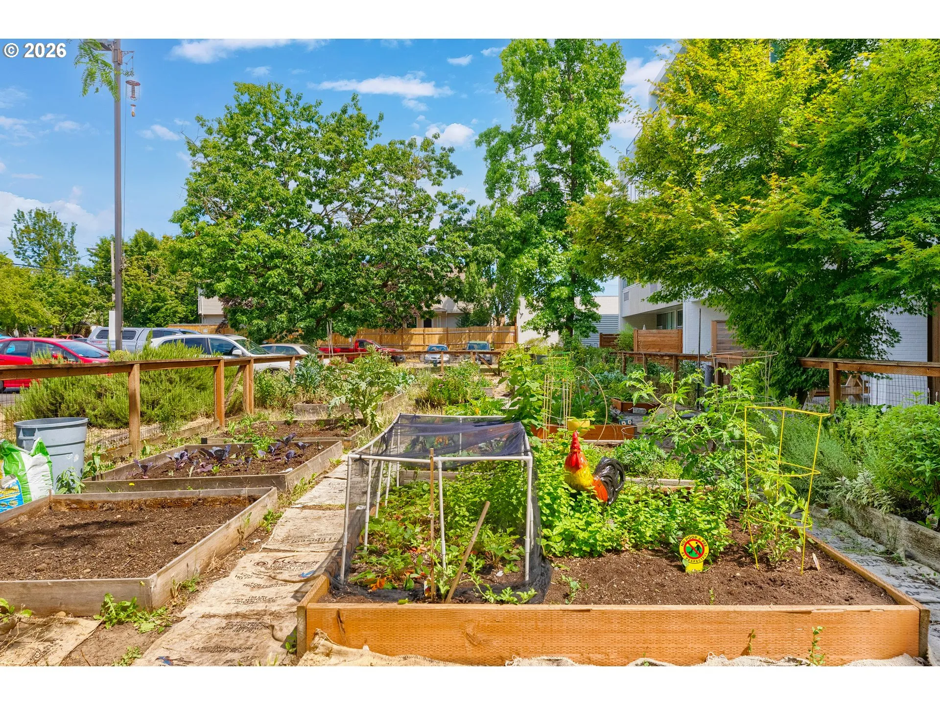 Community Garden