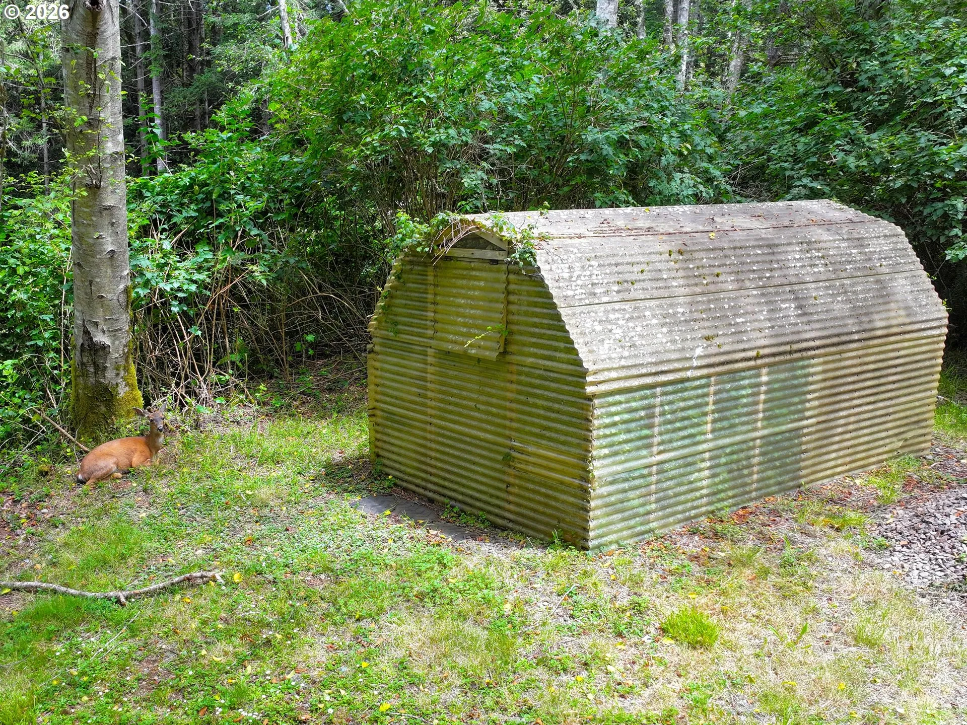 Greenhouse