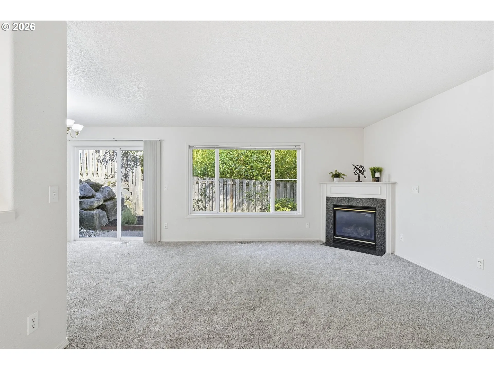 Living Room-Fireplace