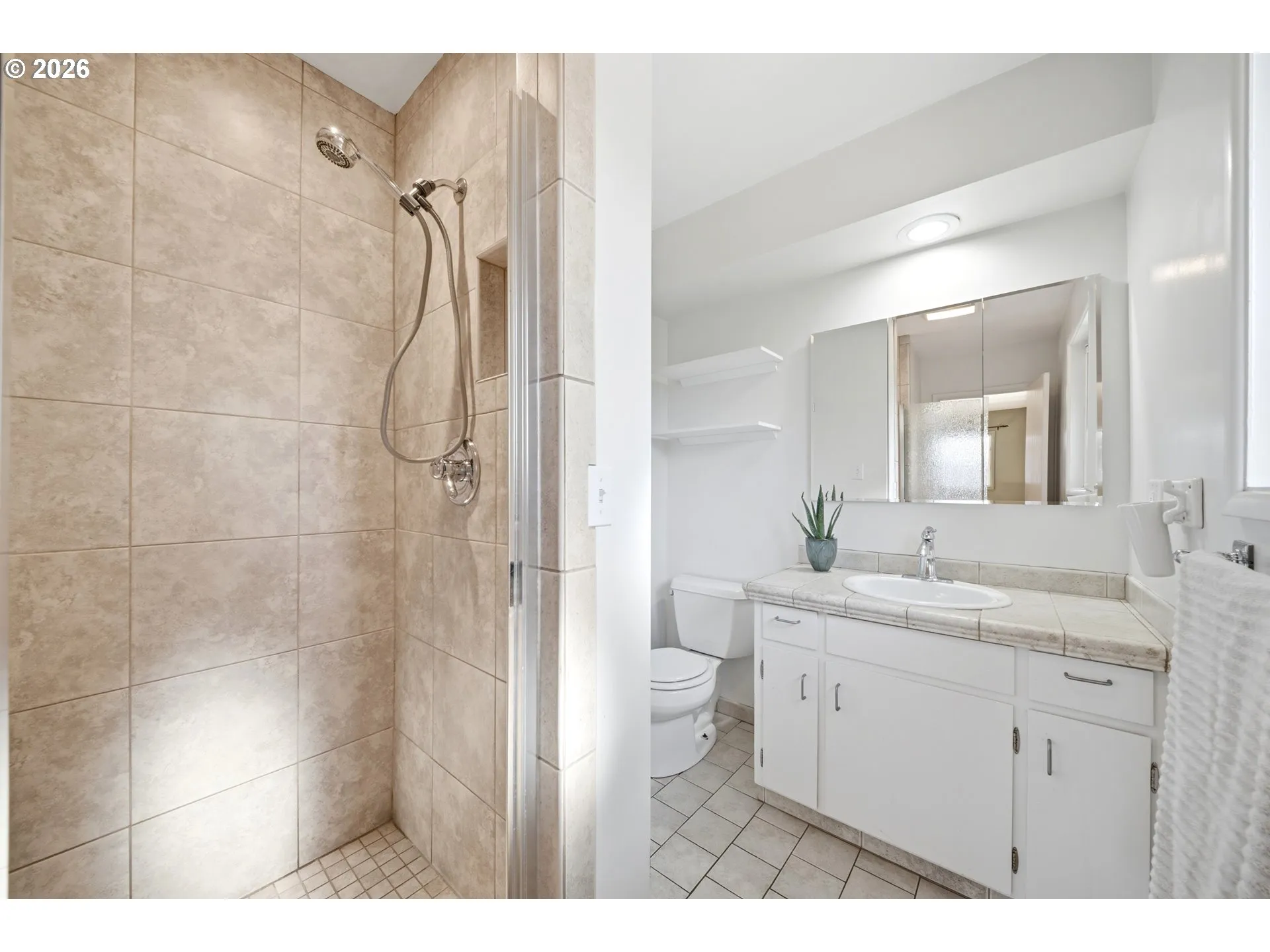 Owner's Suite Bathroom-Walk in Shower