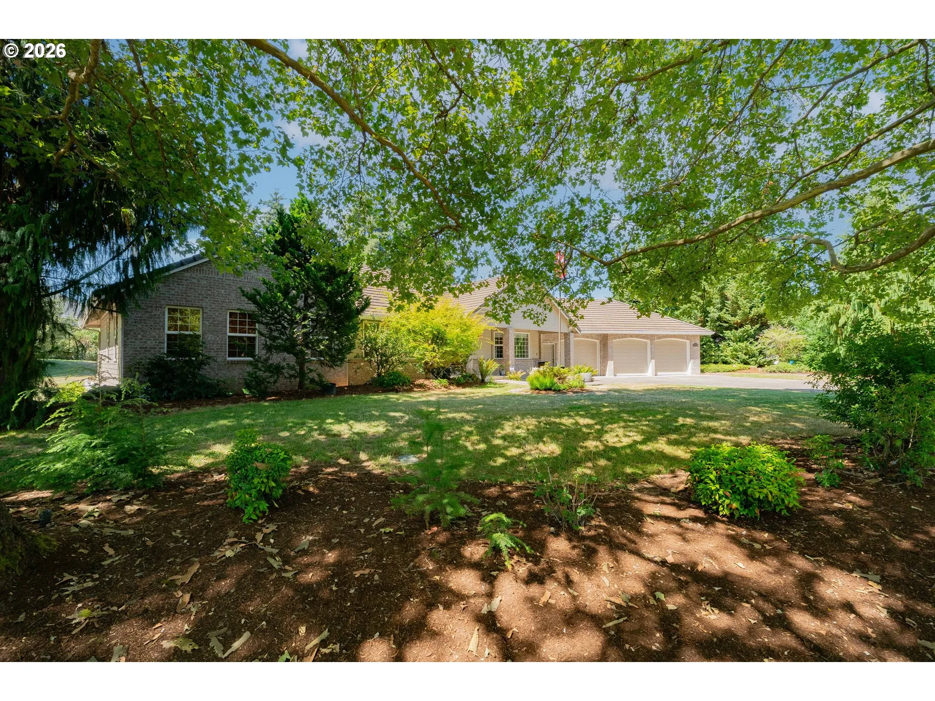 Front Yard