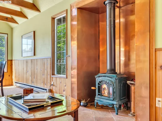 Fireplace Stove