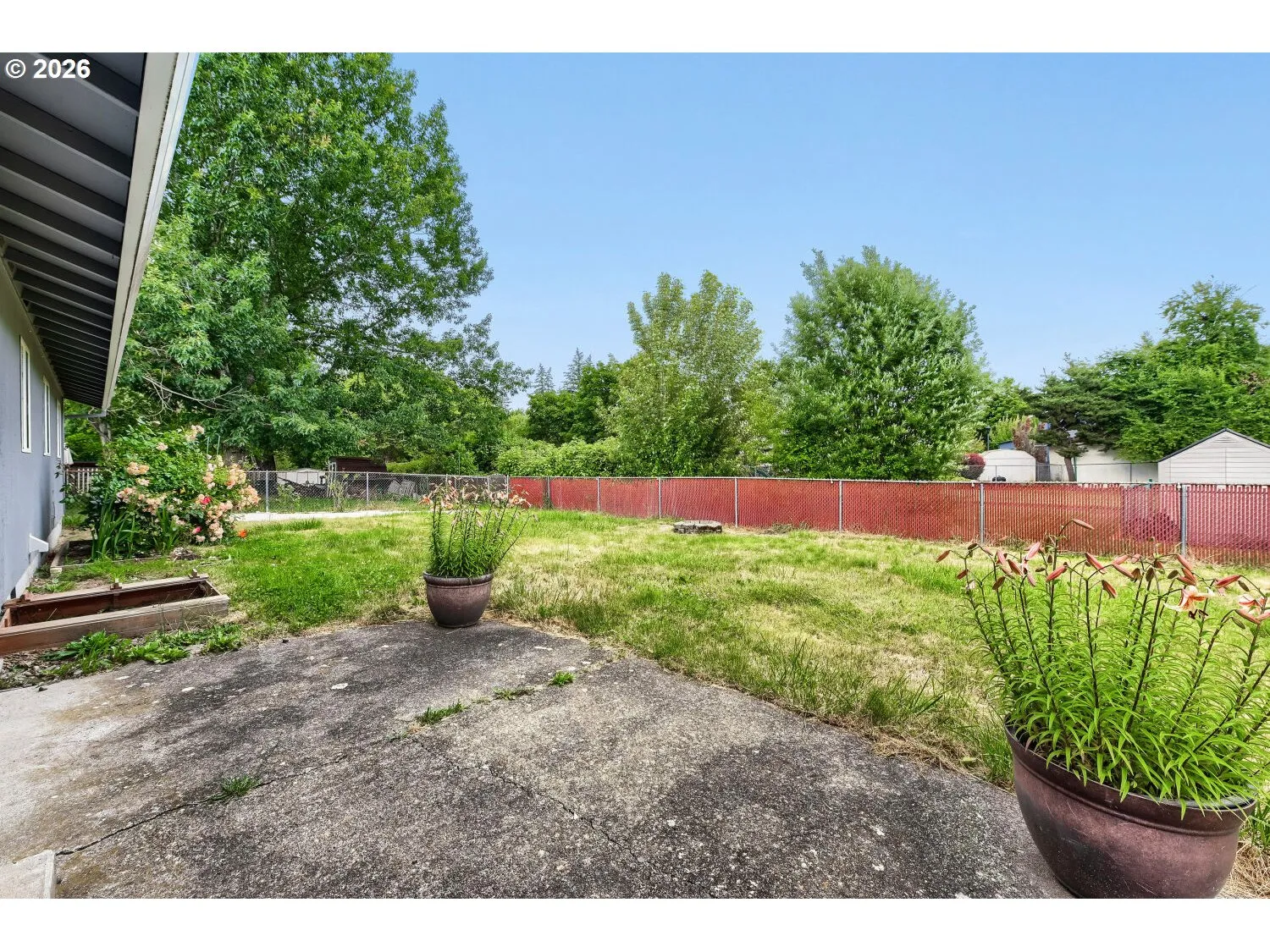 Backyard