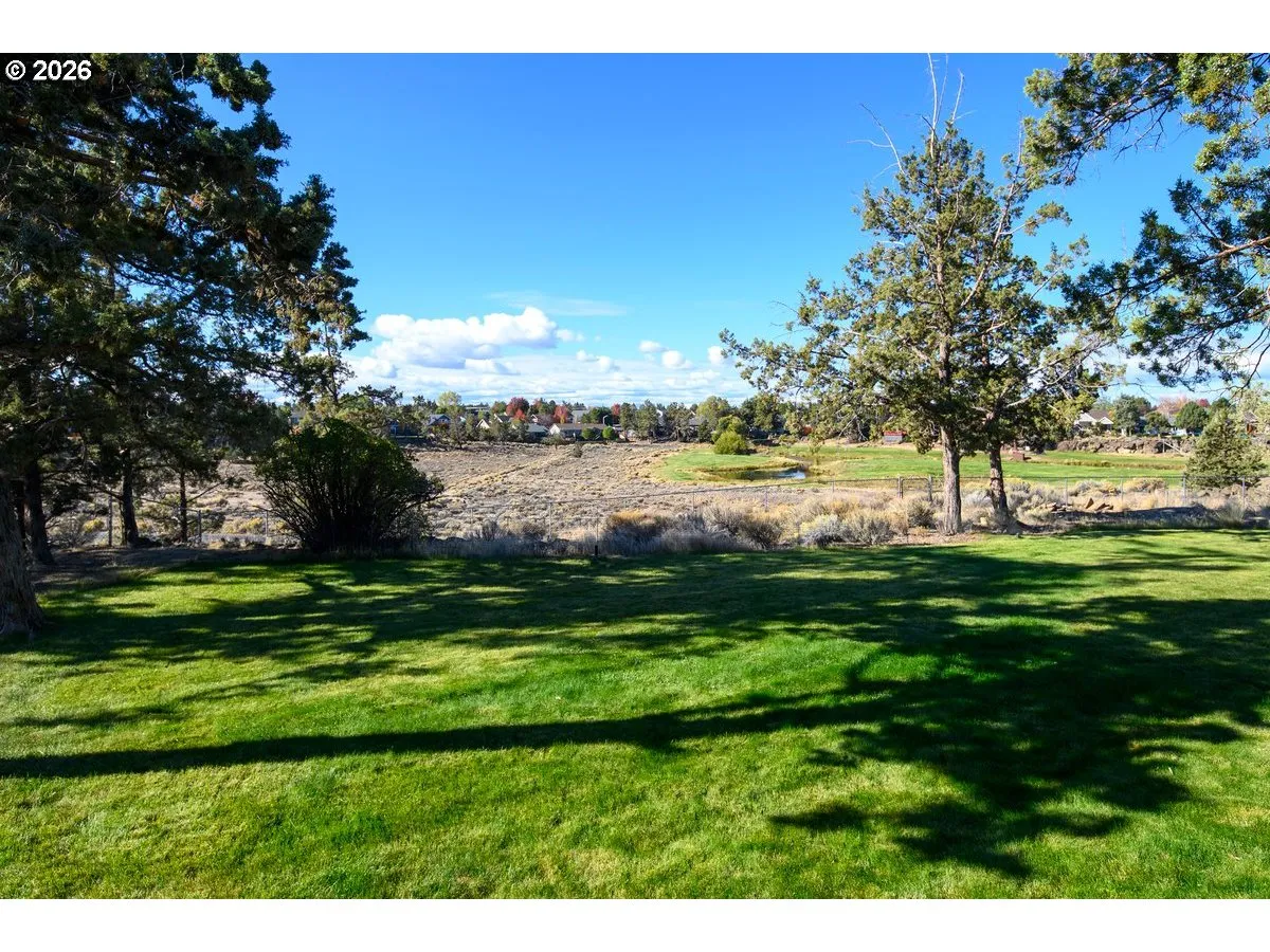 Backyard-View From