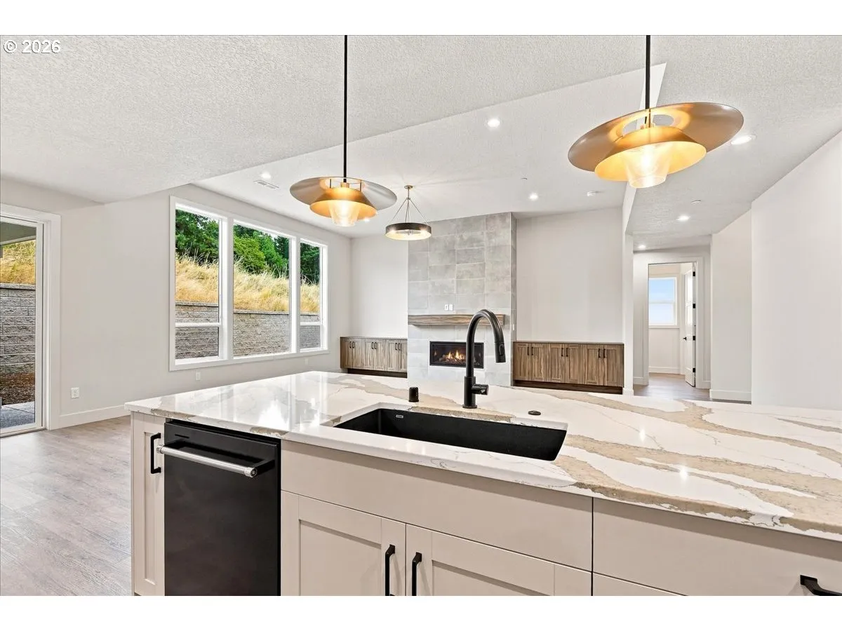 Kitchen/Family Room