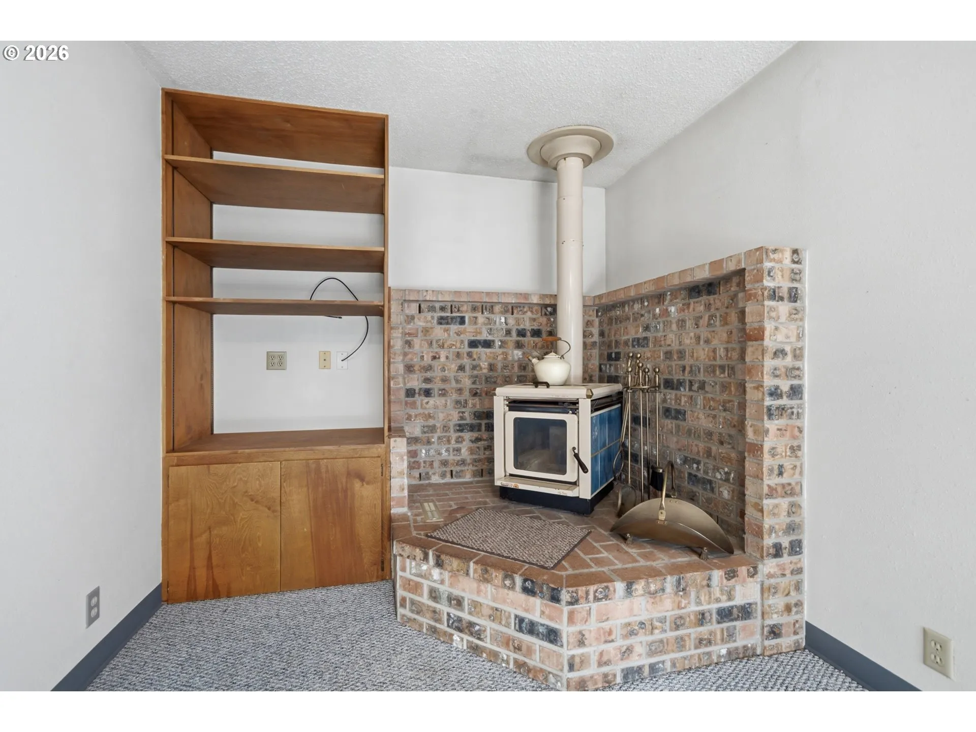 Fireplace Wood Burning Stove/Insert