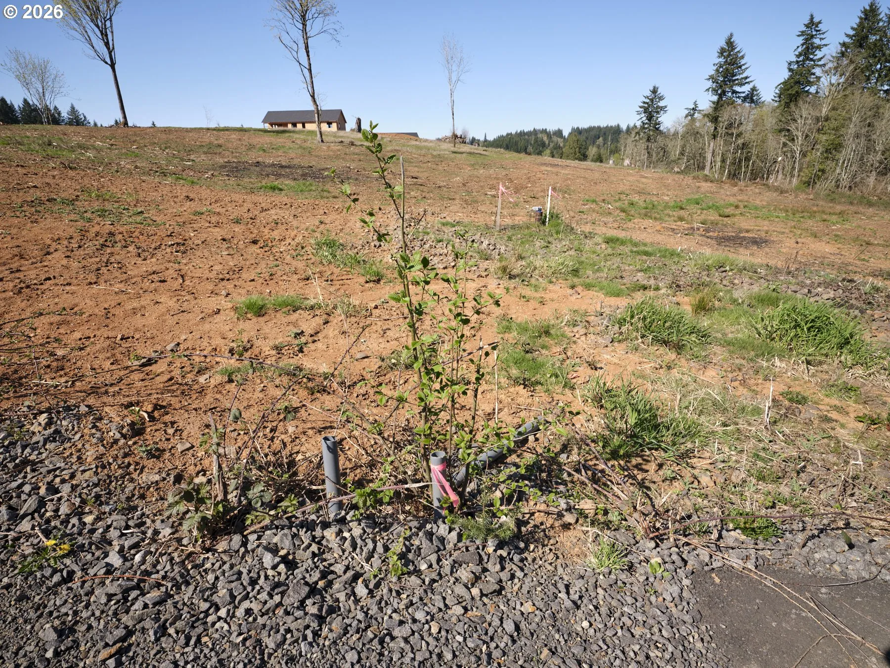 Acreage