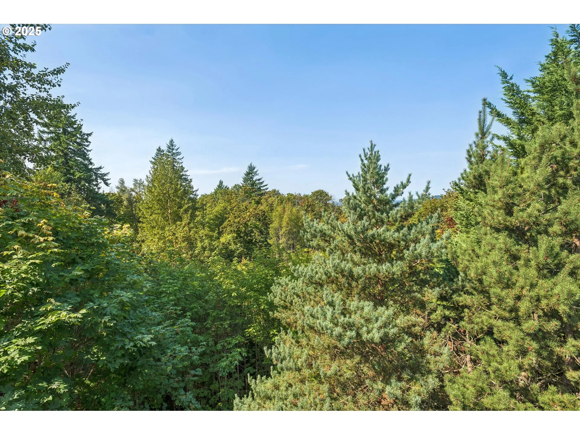 Green Space-Back