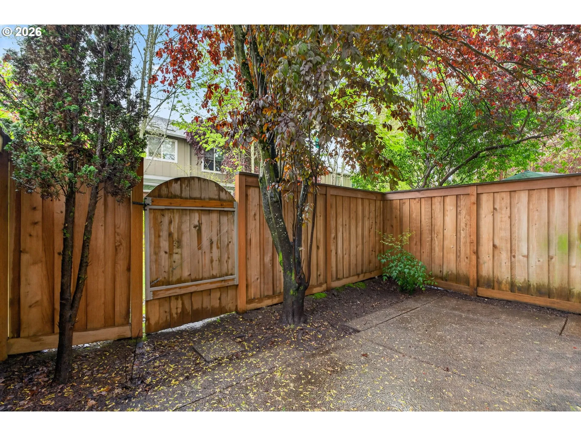 Backyard-Fenced