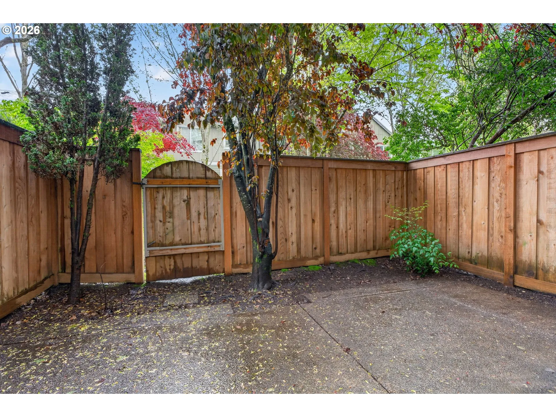 Backyard-Fenced