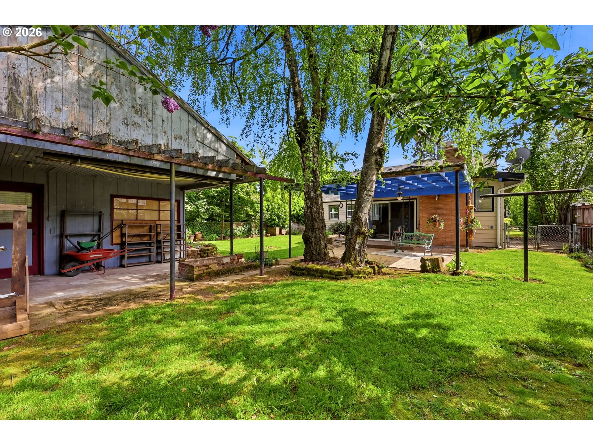 Backyard-View From