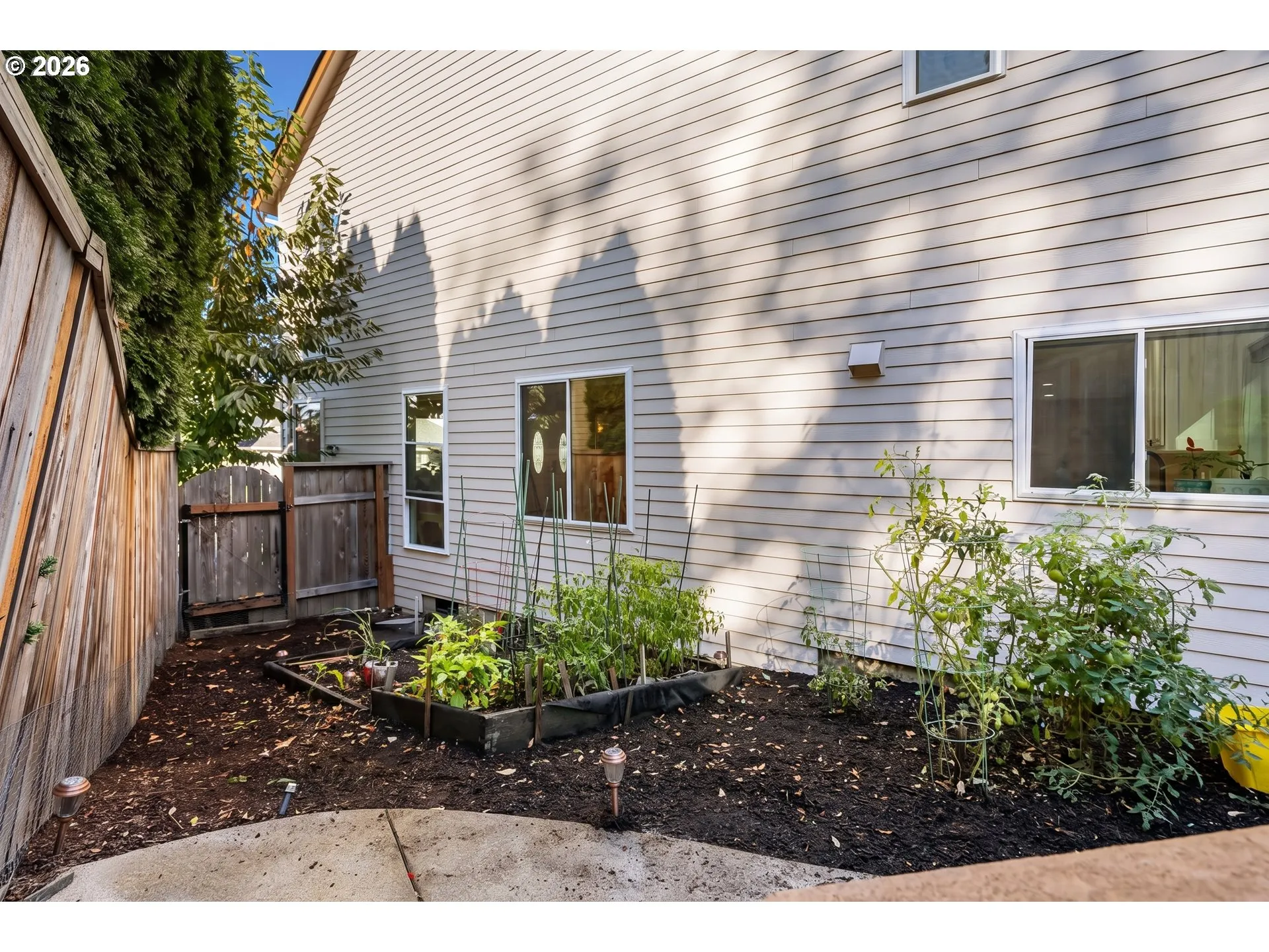 Backyard-Fenced