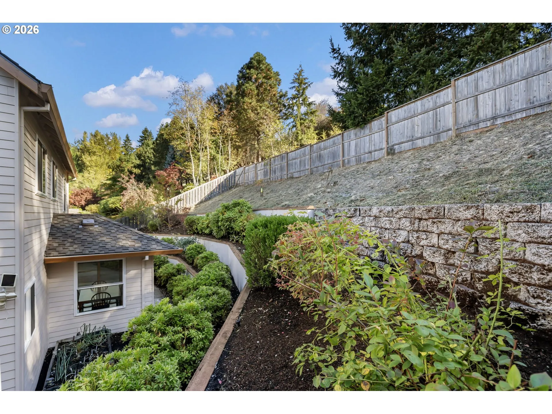 Backyard-Fenced